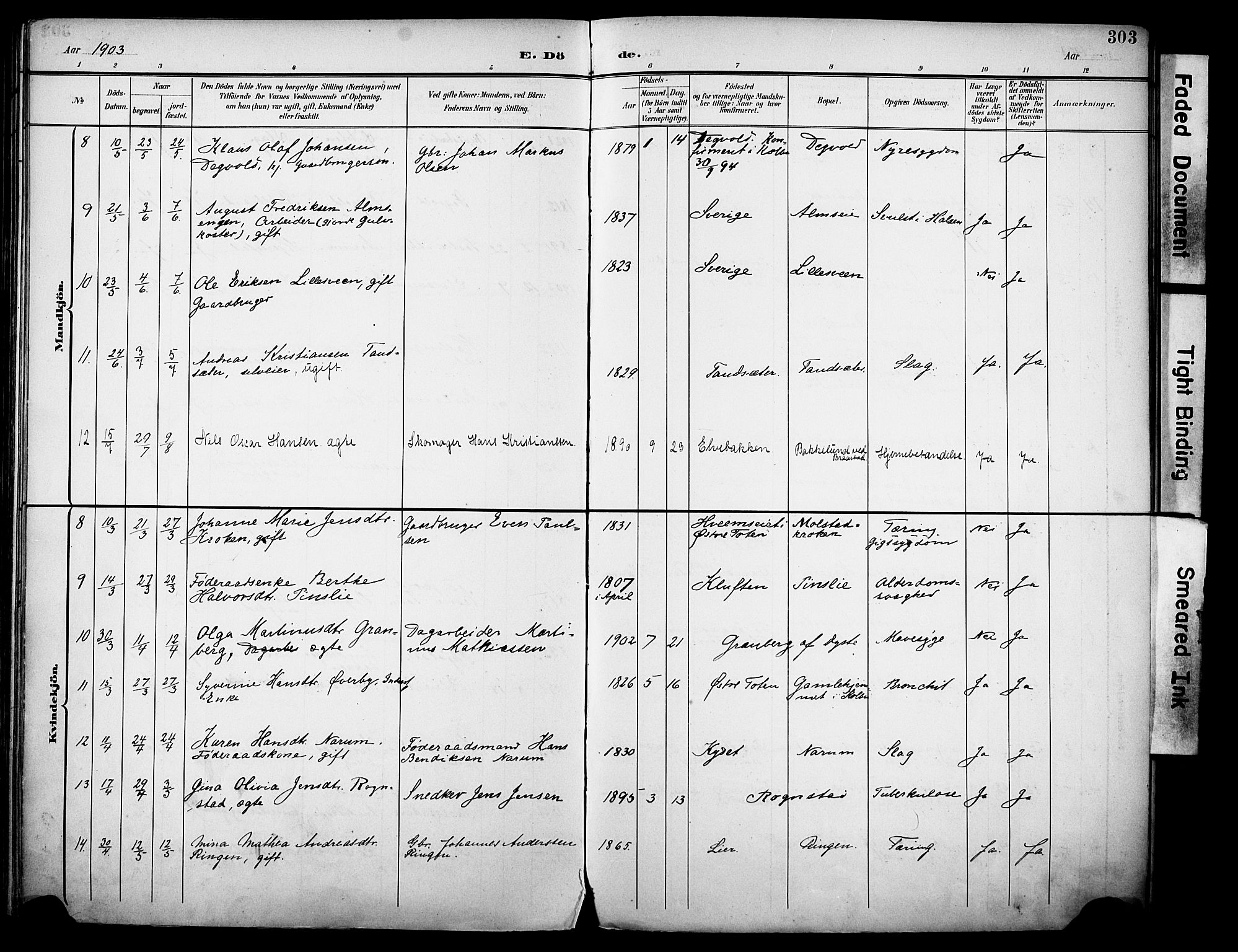 Vestre Toten prestekontor, SAH/PREST-108/H/Ha/Haa/L0013: Parish register (official) no. 13, 1895-1911, p. 303