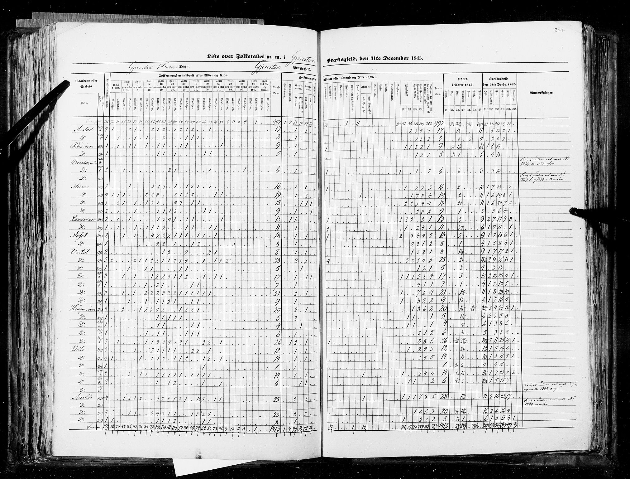 RA, Census 1845, vol. 5: Bratsberg amt og Nedenes og Råbyggelaget amt, 1845, p. 222