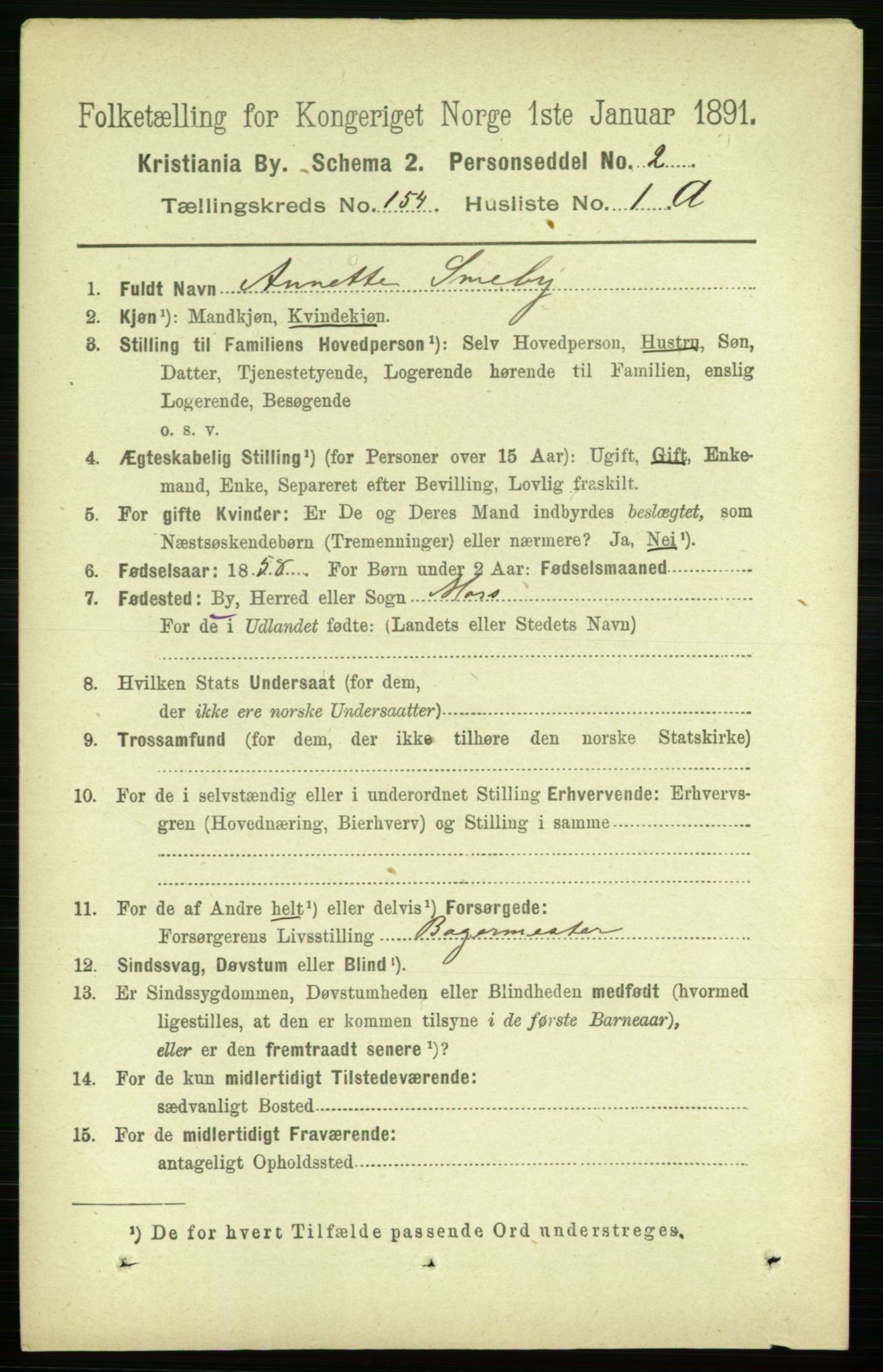 RA, 1891 census for 0301 Kristiania, 1891, p. 87245