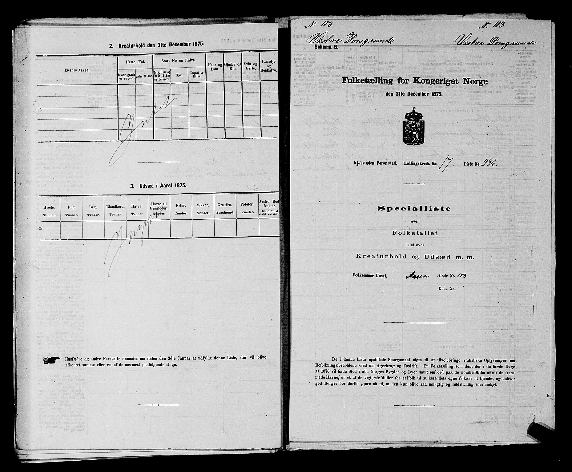 SAKO, 1875 census for 0805P Porsgrunn, 1875, p. 869