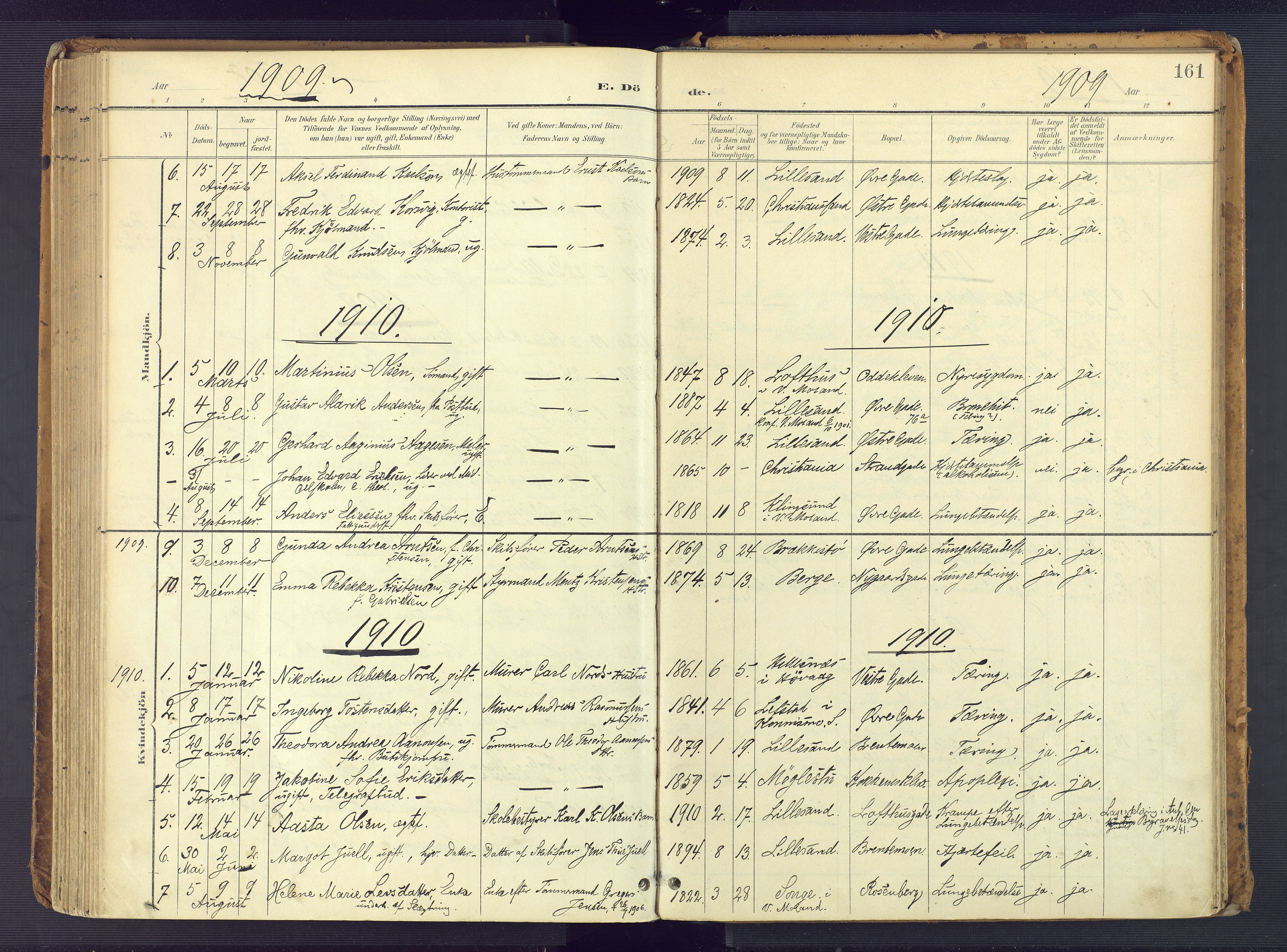 Vestre Moland sokneprestkontor, AV/SAK-1111-0046/F/Fa/Faa/L0002: Parish register (official) no. A 2, 1900-1926, p. 161