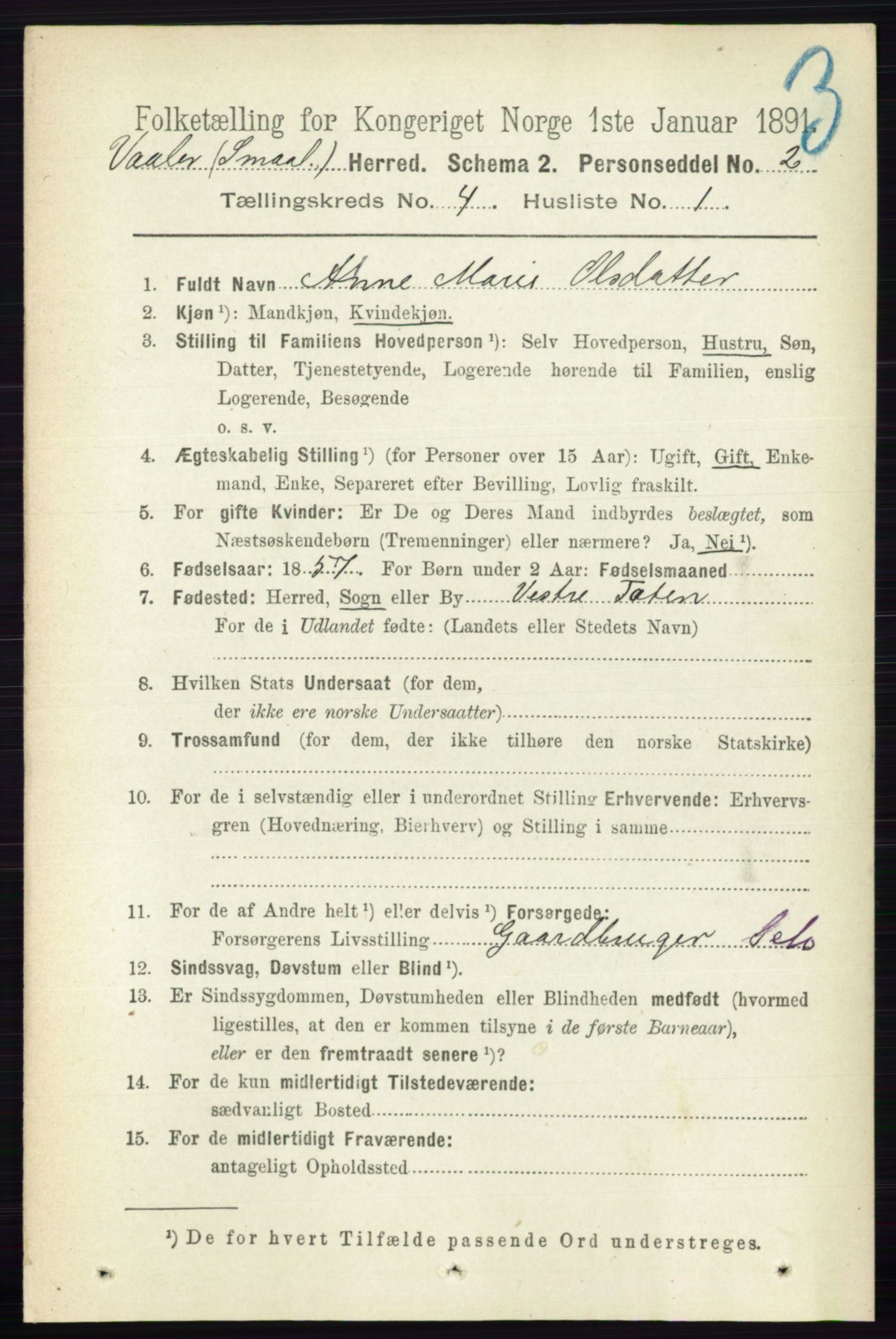 RA, 1891 census for 0137 Våler, 1891, p. 1611