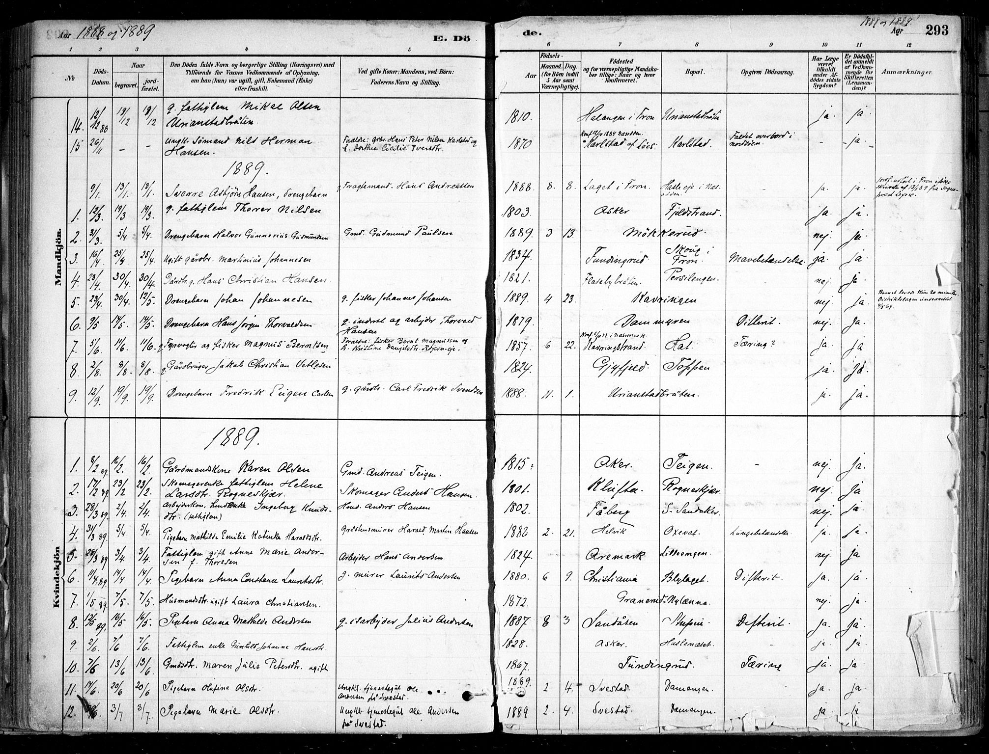 Nesodden prestekontor Kirkebøker, AV/SAO-A-10013/F/Fa/L0009: Parish register (official) no. I 9, 1880-1915, p. 293