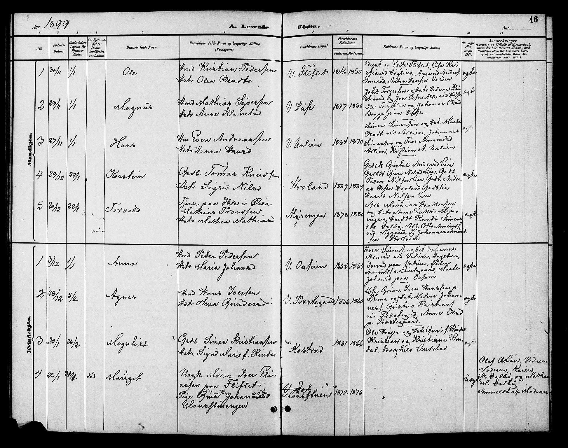 Fåberg prestekontor, AV/SAH-PREST-086/H/Ha/Hab/L0010: Parish register (copy) no. 10, 1892-1900, p. 46