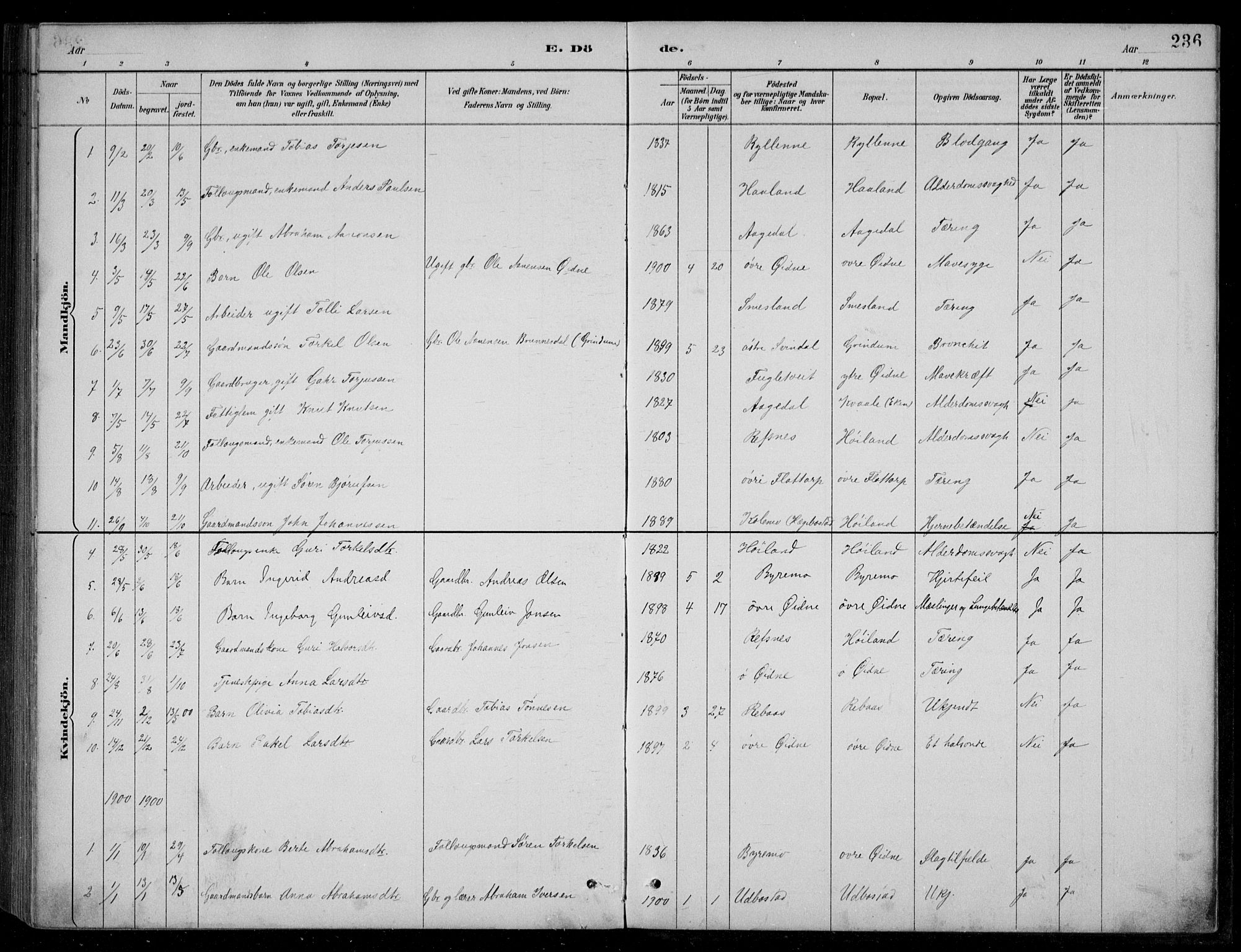 Bjelland sokneprestkontor, SAK/1111-0005/F/Fb/Fbc/L0003: Parish register (copy) no. B 3, 1887-1924, p. 236