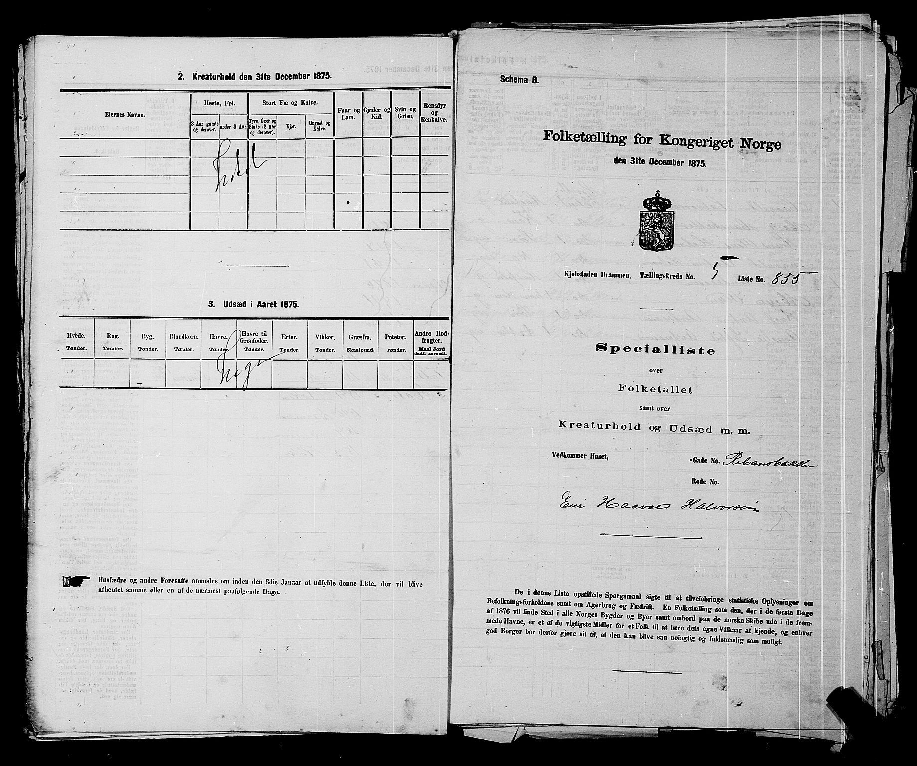 SAKO, 1875 census for 0602 Drammen, 1875, p. 510