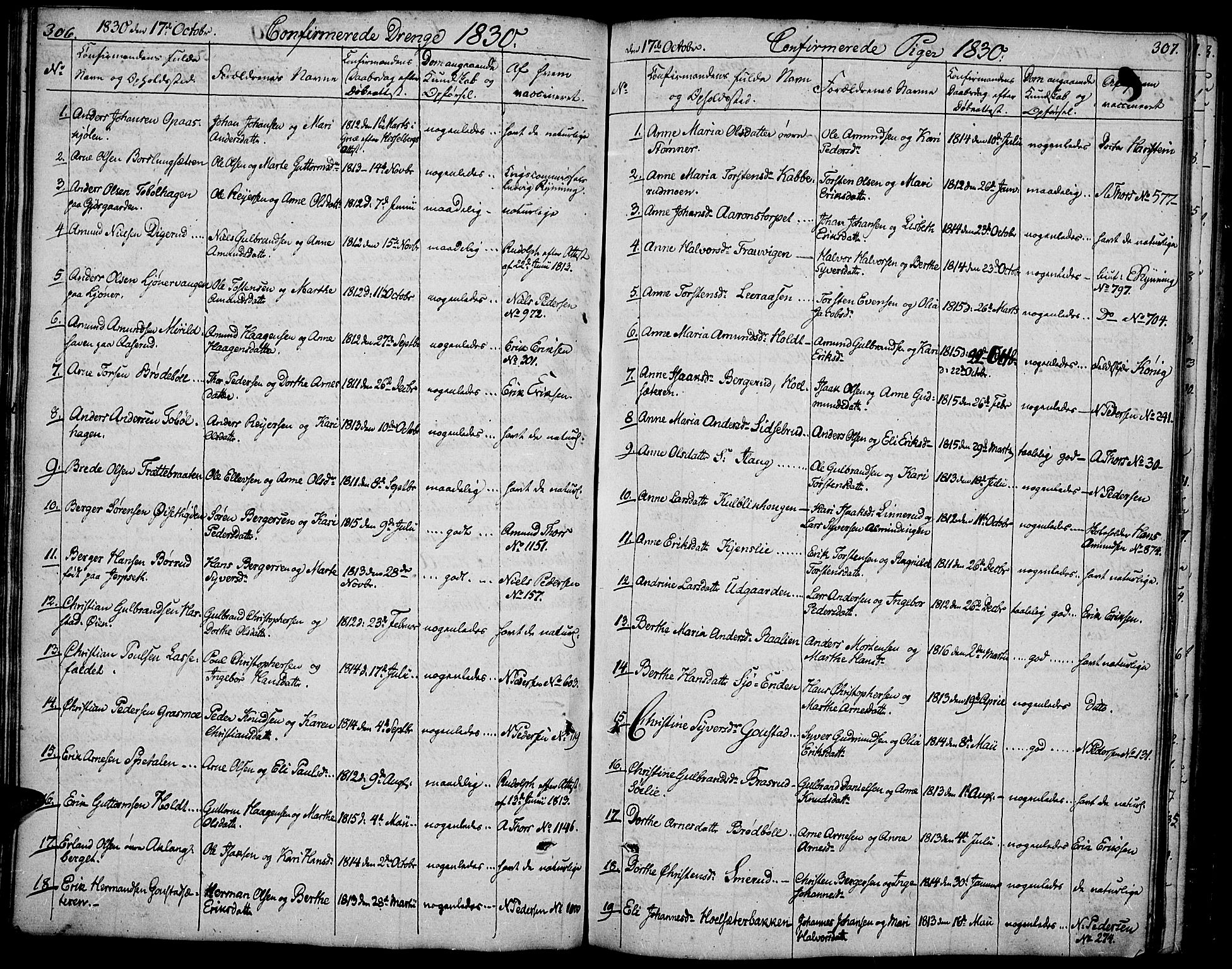 Vinger prestekontor, SAH/PREST-024/H/Ha/Hab/L0002: Parish register (copy) no. 2, 1818-1834, p. 306-307