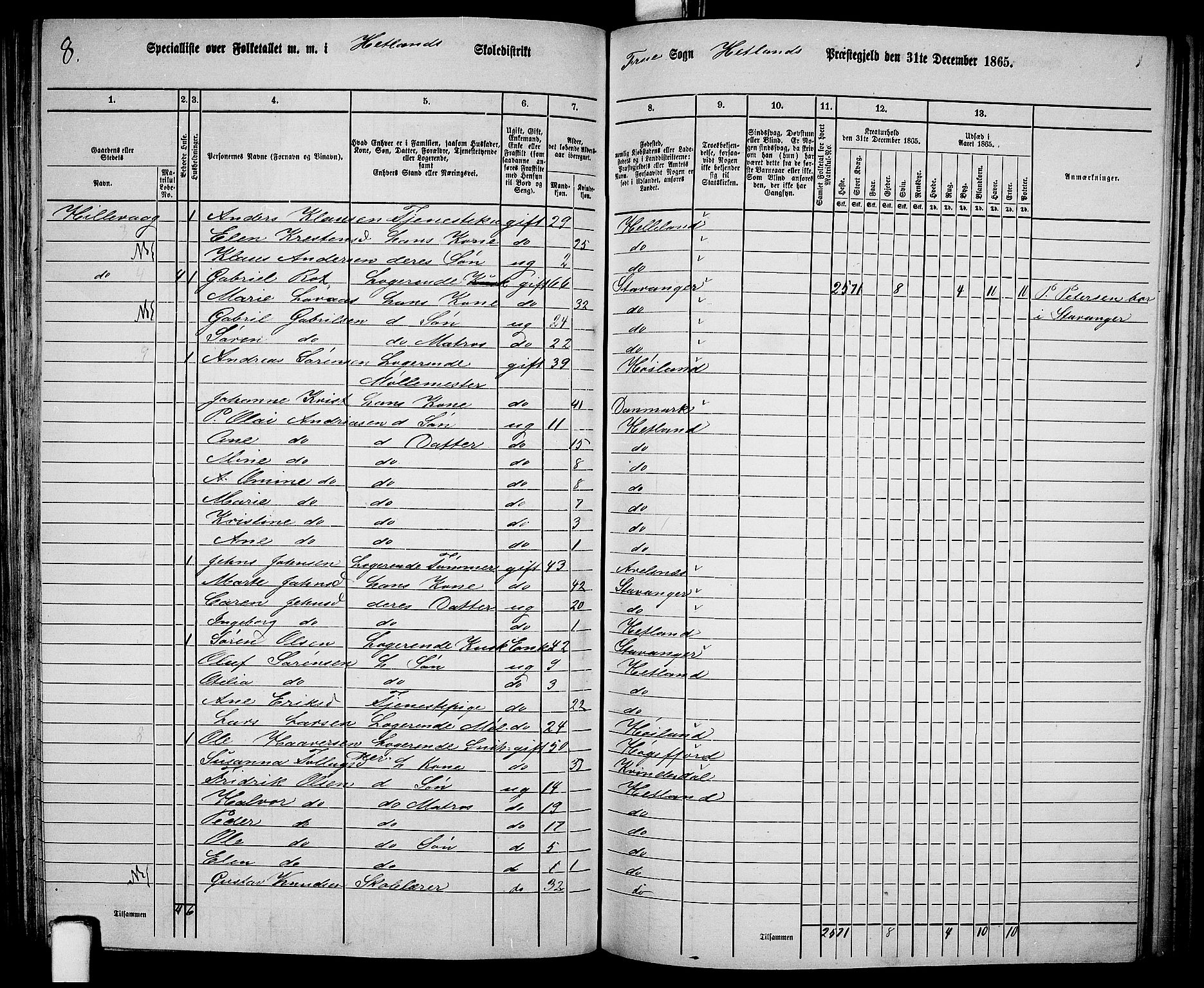 RA, 1865 census for Hetland, 1865, p. 135