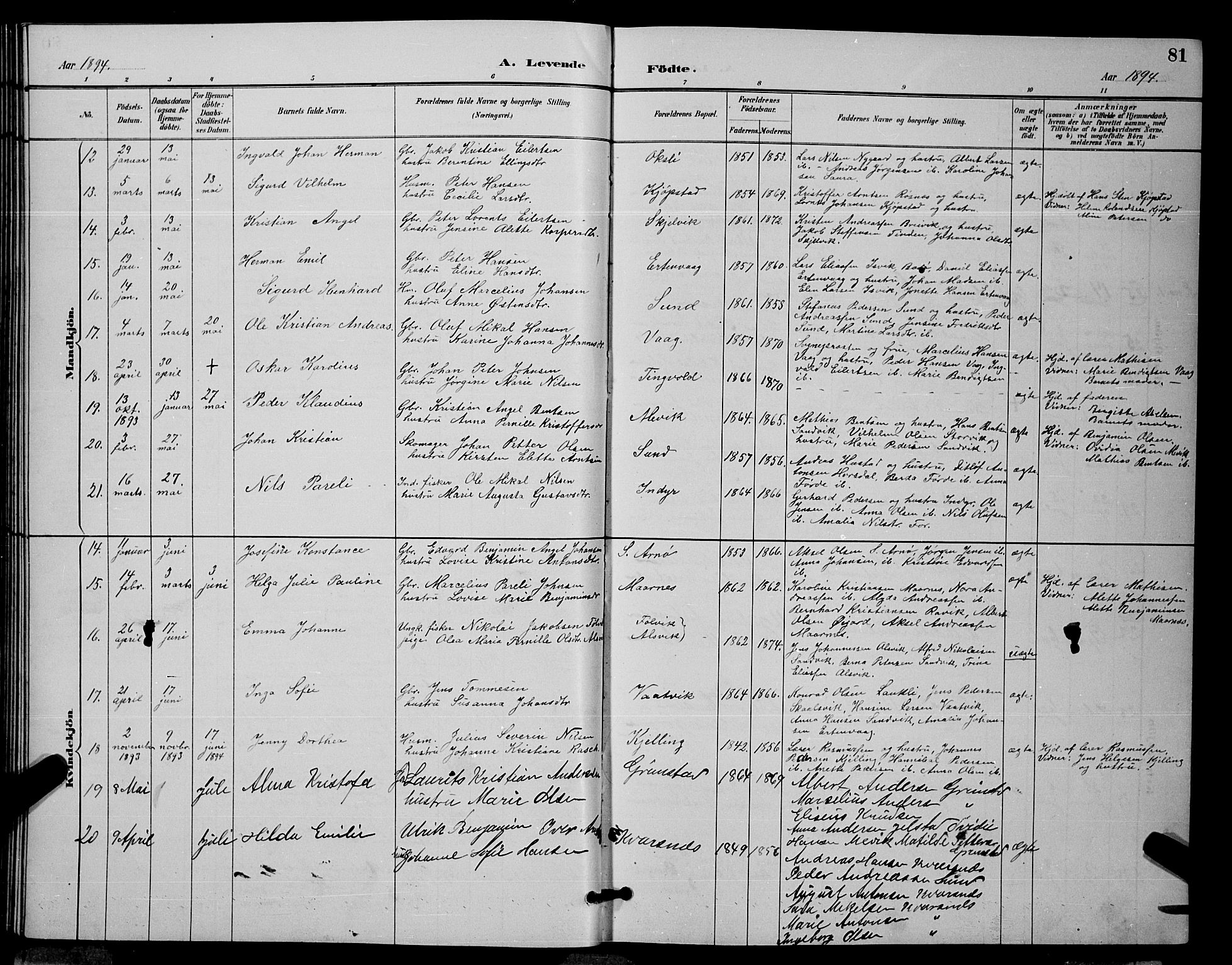 Ministerialprotokoller, klokkerbøker og fødselsregistre - Nordland, AV/SAT-A-1459/805/L0108: Parish register (copy) no. 805C04, 1885-1899, p. 81