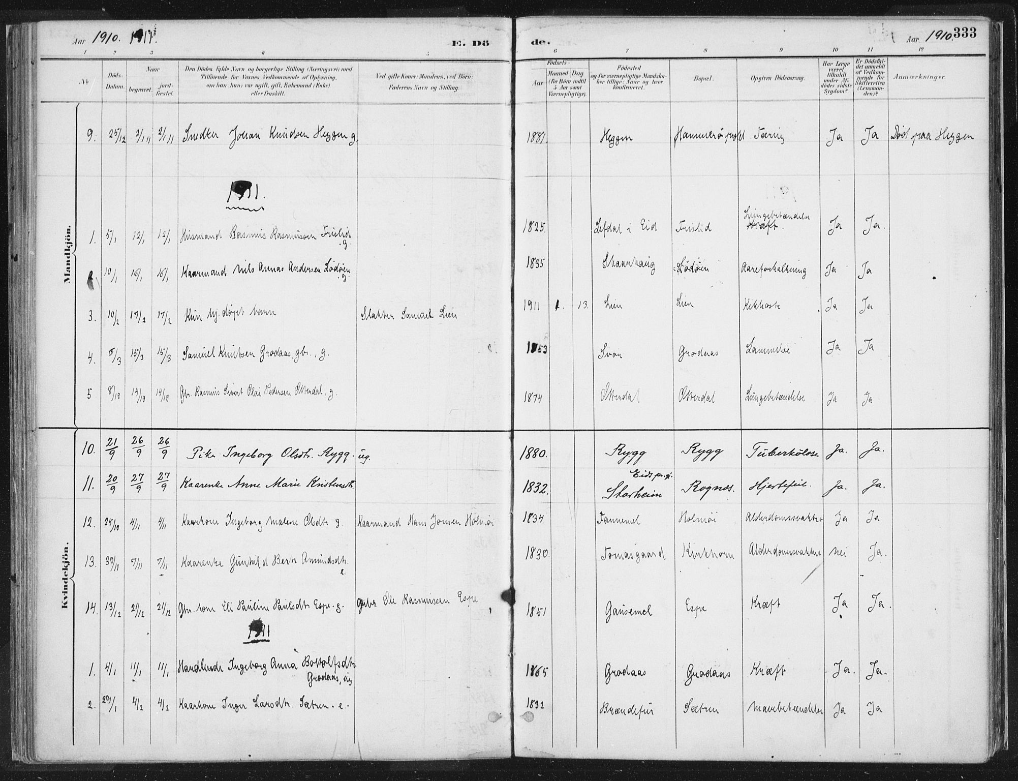 Hornindal sokneprestembete, SAB/A-82401/H/Haa/Haaa/L0003/0002: Parish register (official) no. A 3B, 1885-1917, p. 333