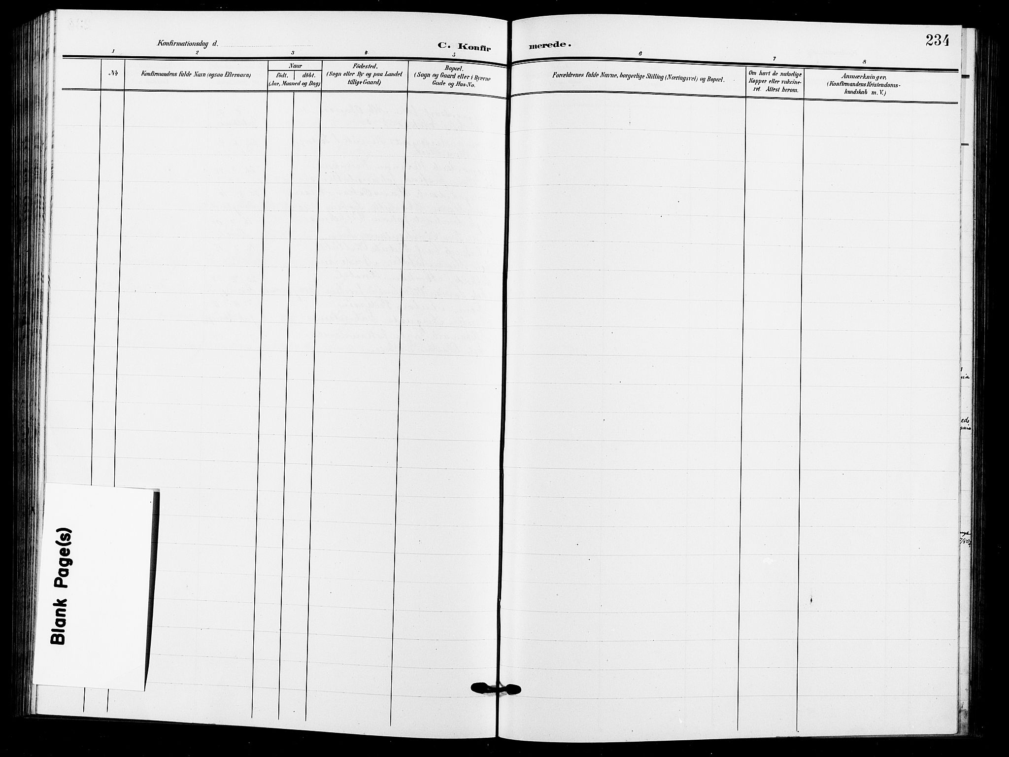 Sarpsborg prestekontor Kirkebøker, AV/SAO-A-2006/G/Ga/L0001: Parish register (copy) no. 1, 1902-1911, p. 234