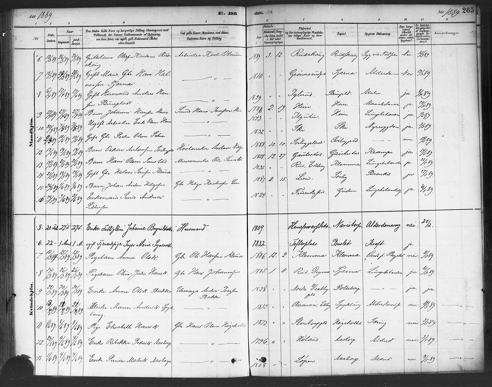 Rakkestad prestekontor Kirkebøker, AV/SAO-A-2008/F/Fa/L0012: Parish register (official) no. I 12, 1878-1893, p. 265