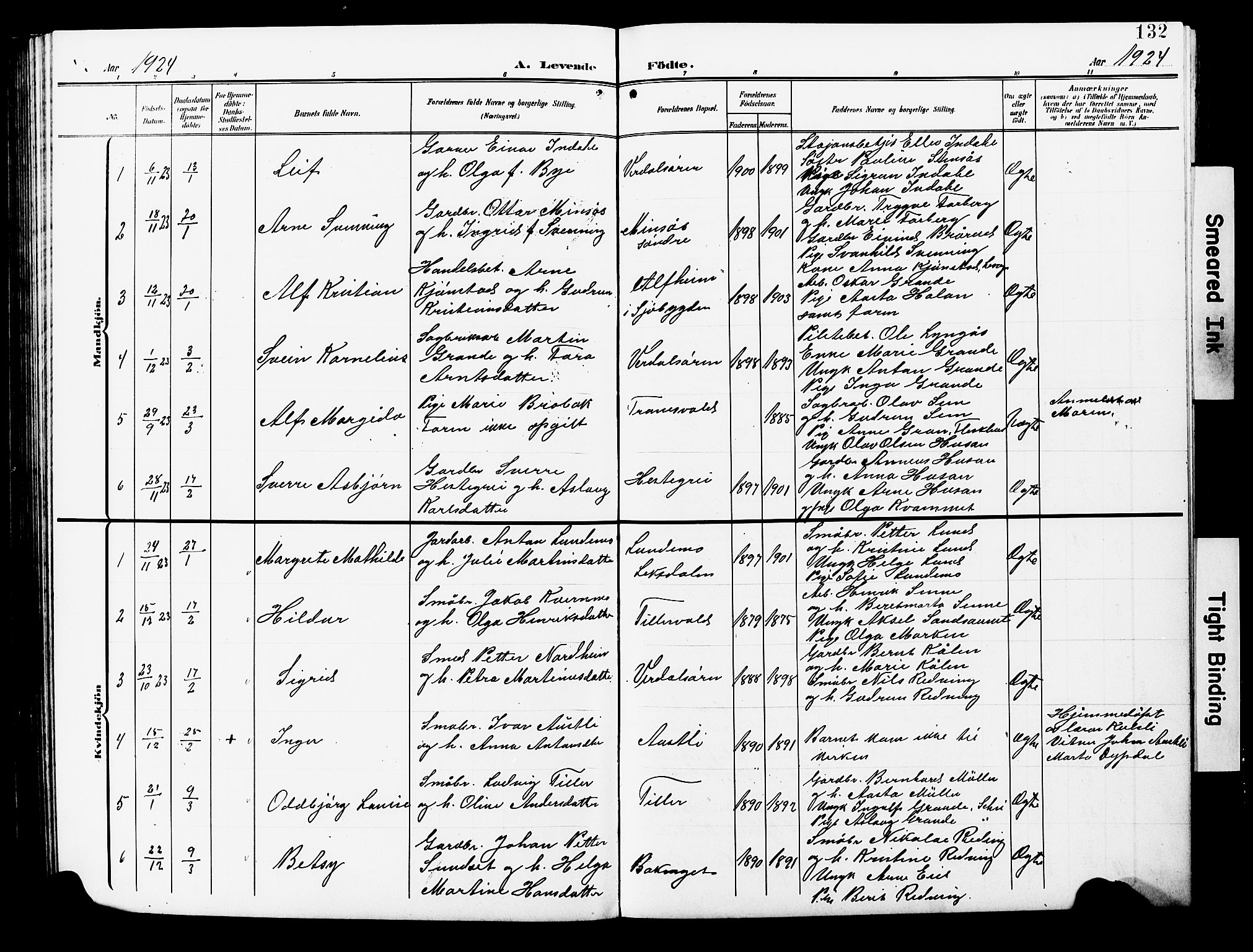 Ministerialprotokoller, klokkerbøker og fødselsregistre - Nord-Trøndelag, AV/SAT-A-1458/723/L0258: Parish register (copy) no. 723C06, 1908-1927, p. 132
