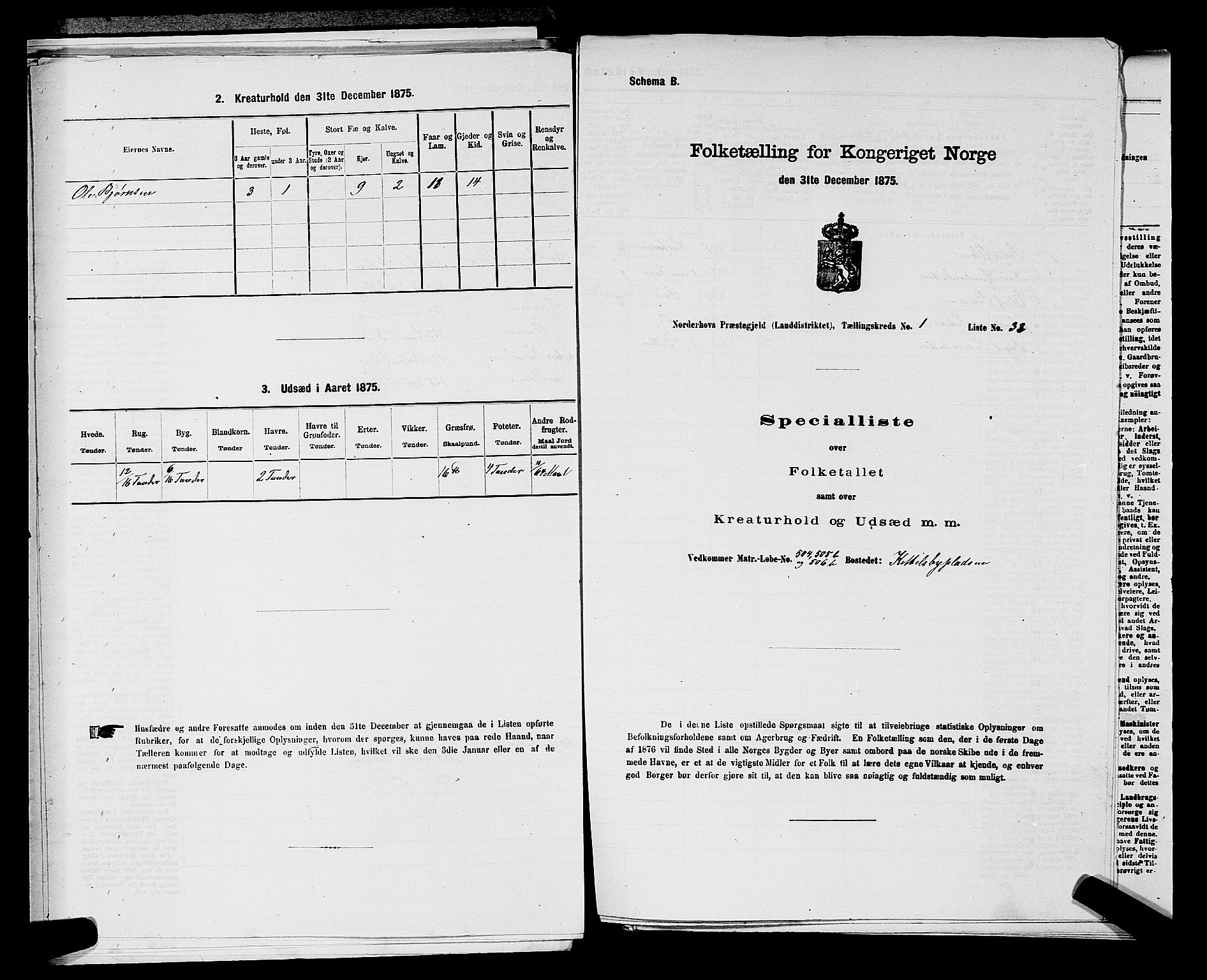 SAKO, 1875 census for 0613L Norderhov/Norderhov, Haug og Lunder, 1875, p. 2373