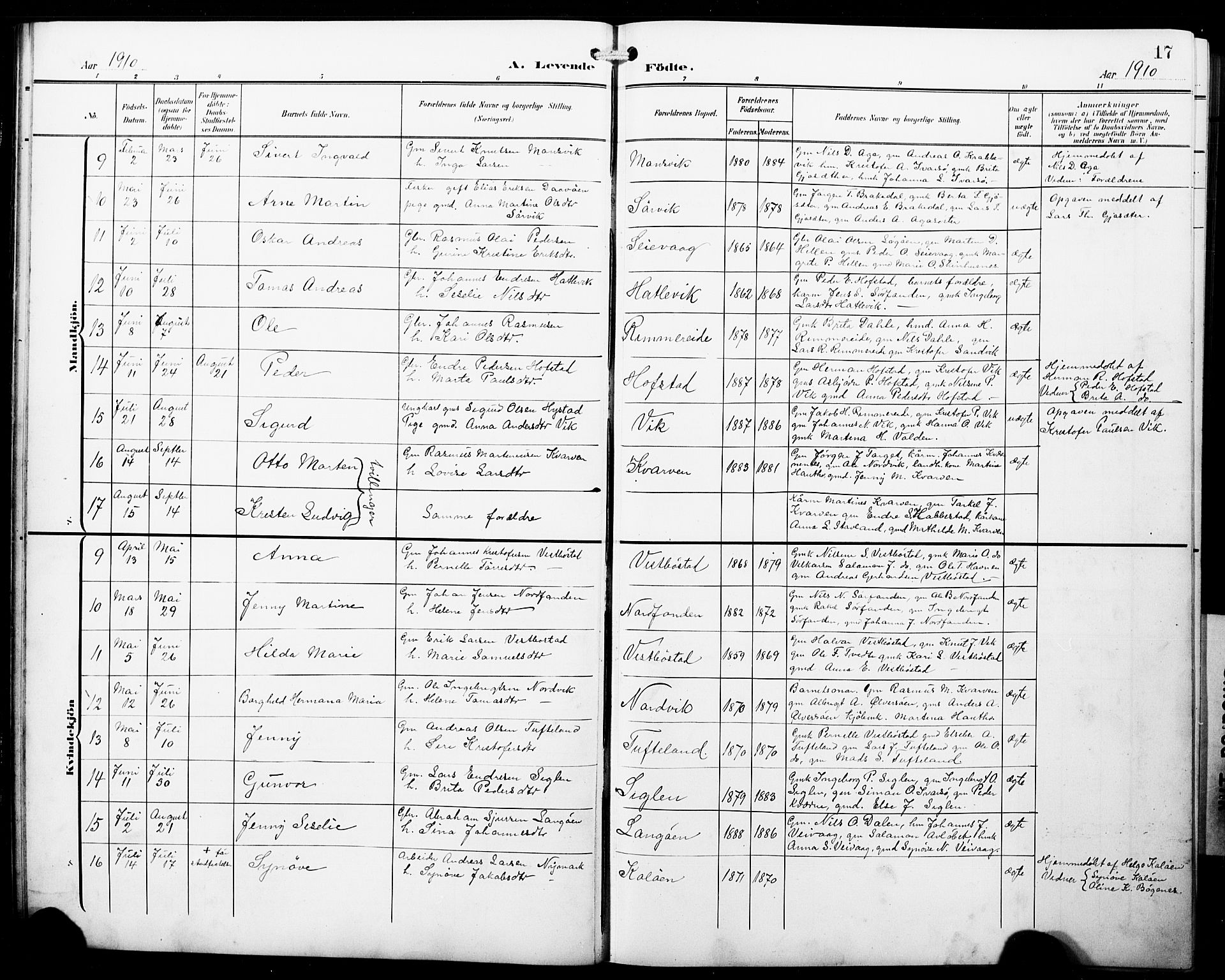 Fitjar sokneprestembete, SAB/A-99926: Parish register (copy) no. B 1, 1906-1928, p. 17