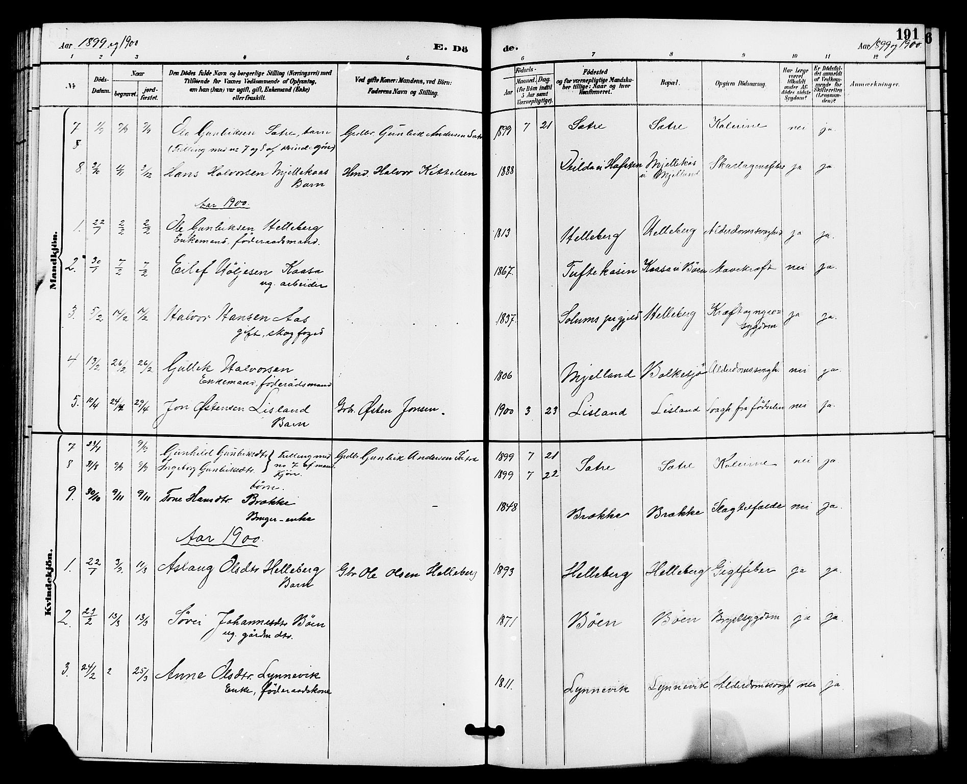 Gransherad kirkebøker, SAKO/A-267/G/Ga/L0003: Parish register (copy) no. I 3, 1887-1915, p. 191
