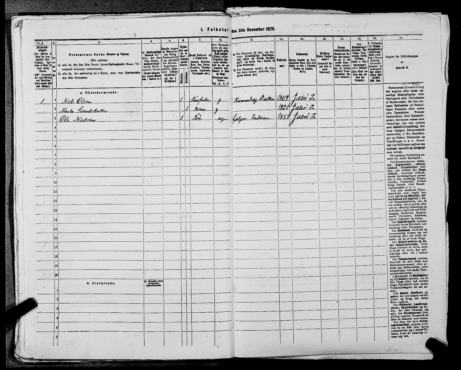 SAST, 1875 census for 1138P Jelsa, 1875, p. 838