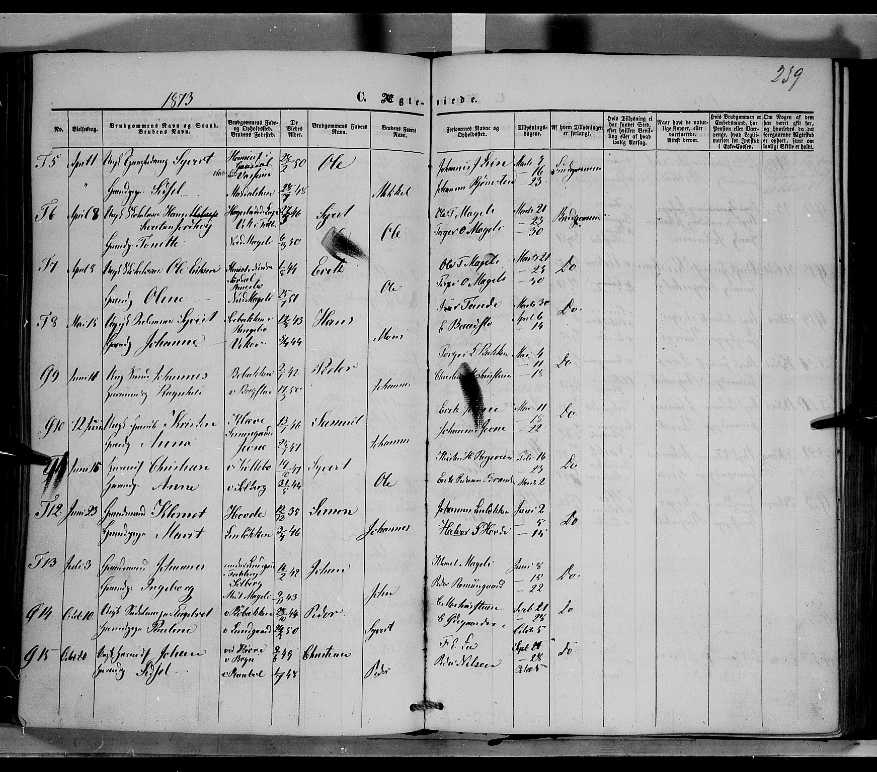 Øyer prestekontor, AV/SAH-PREST-084/H/Ha/Haa/L0006: Parish register (official) no. 6, 1858-1874, p. 239