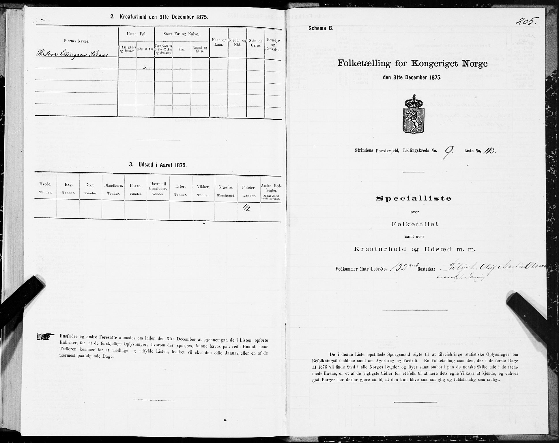 SAT, 1875 census for 1660P Strinda, 1875, p. 5205