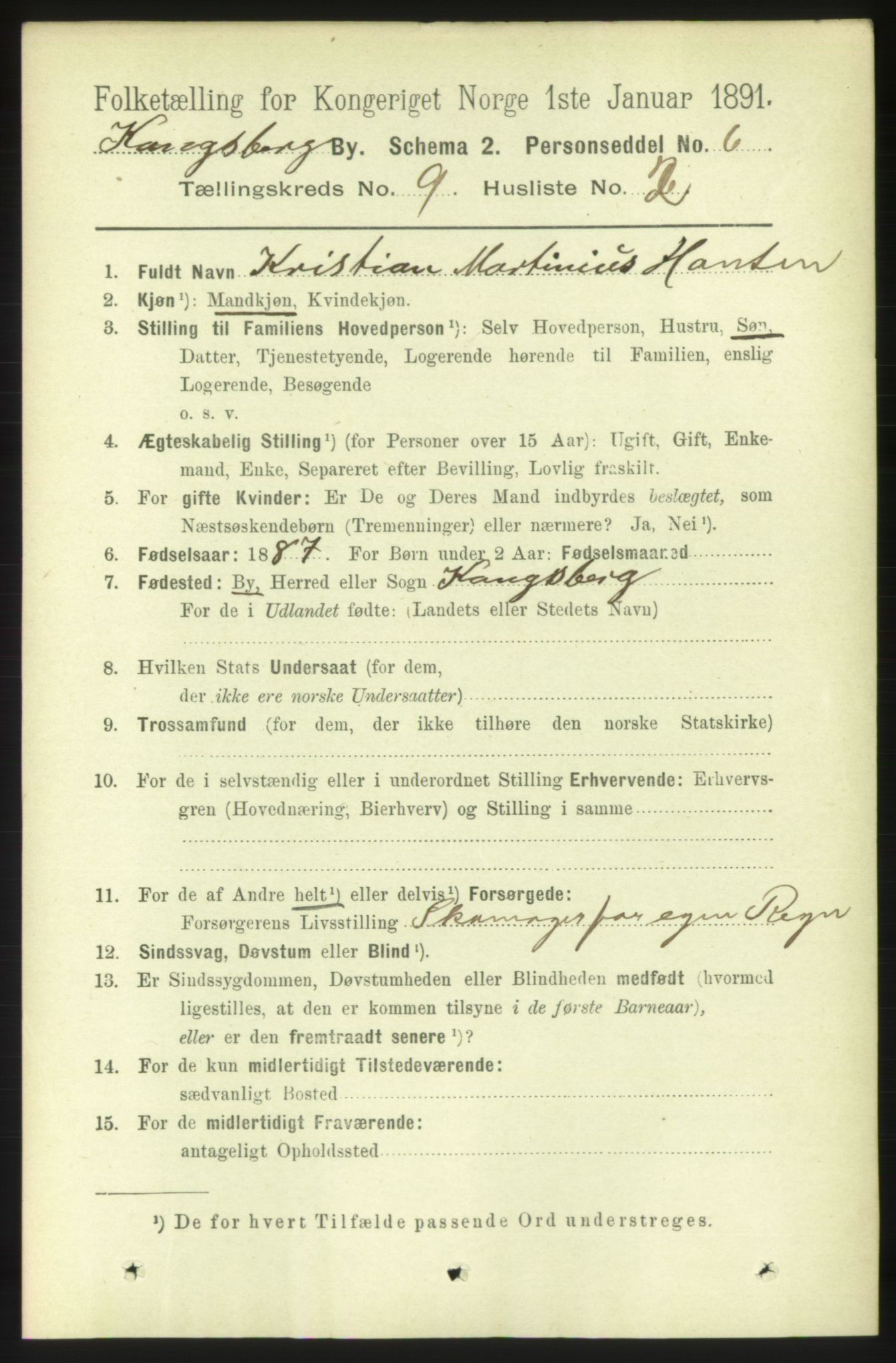 RA, 1891 census for 0604 Kongsberg, 1891, p. 6055