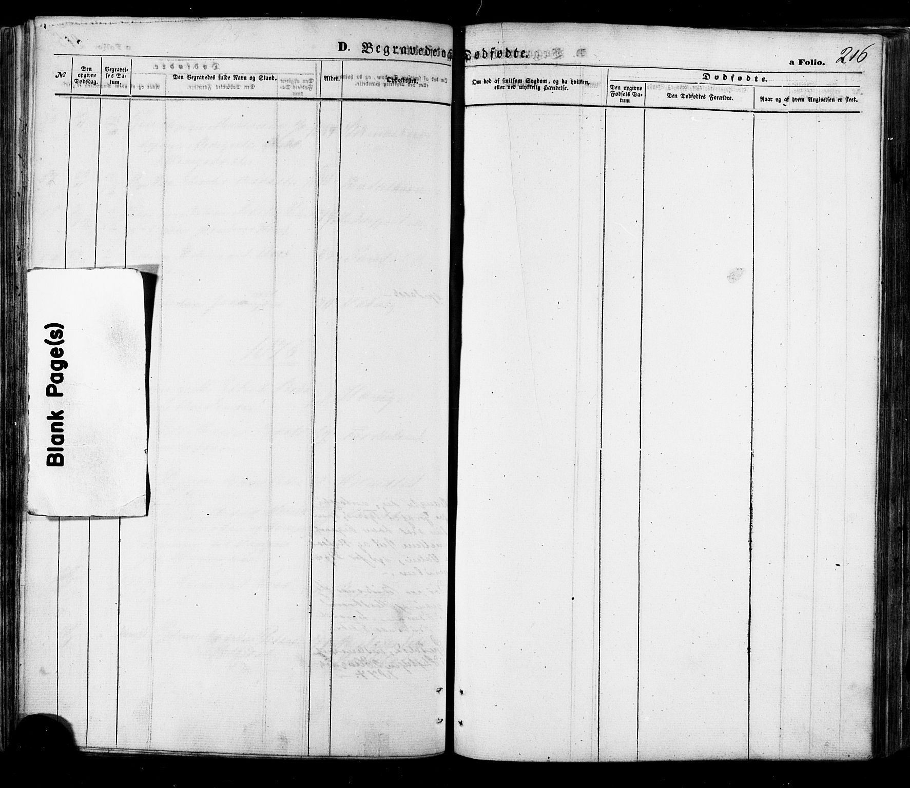 Ministerialprotokoller, klokkerbøker og fødselsregistre - Nordland, AV/SAT-A-1459/888/L1242: Parish register (official) no. 888A08, 1870-1875, p. 216