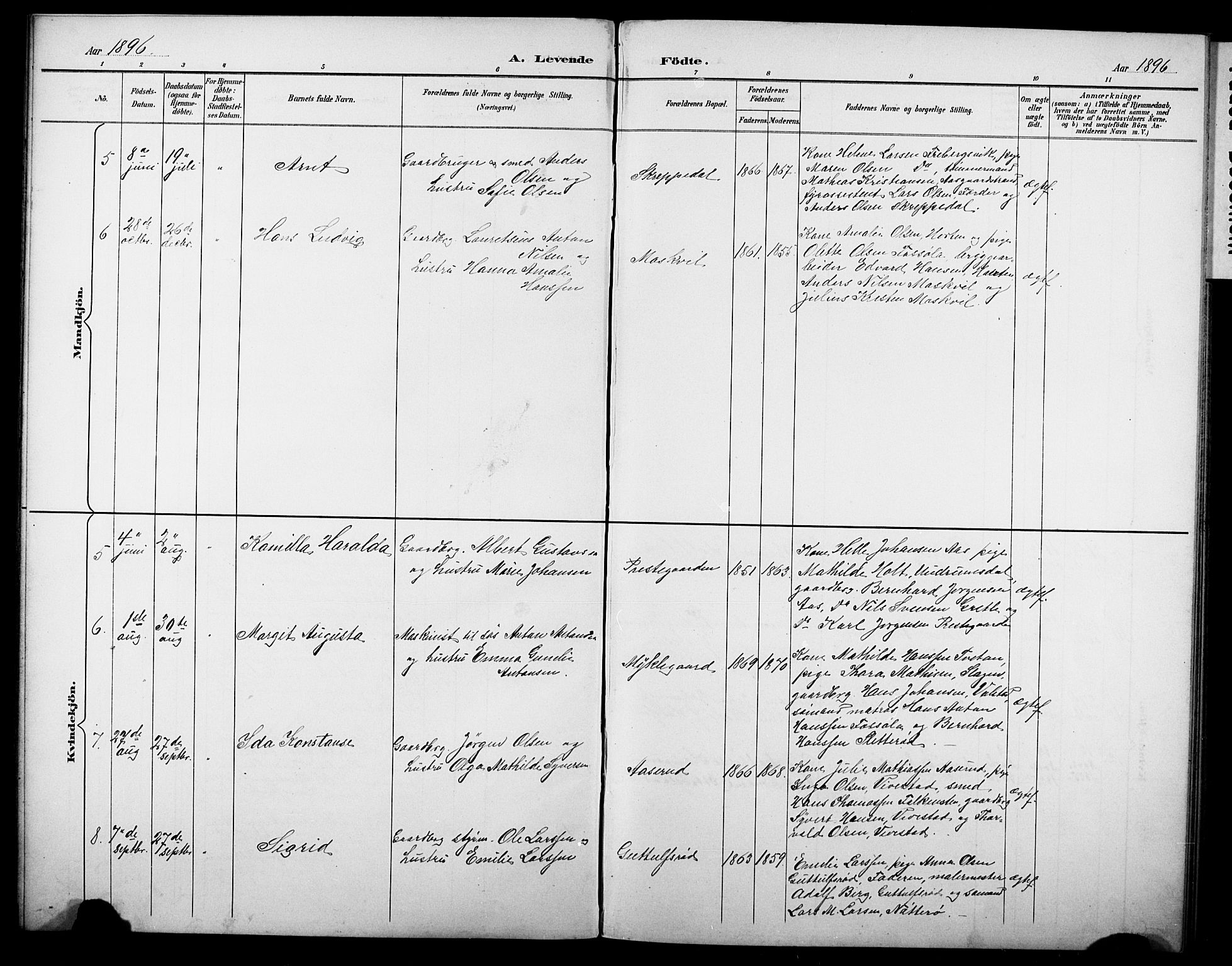 Borre kirkebøker, AV/SAKO-A-338/G/Gb/L0003: Parish register (copy) no. II 3, 1893-1905