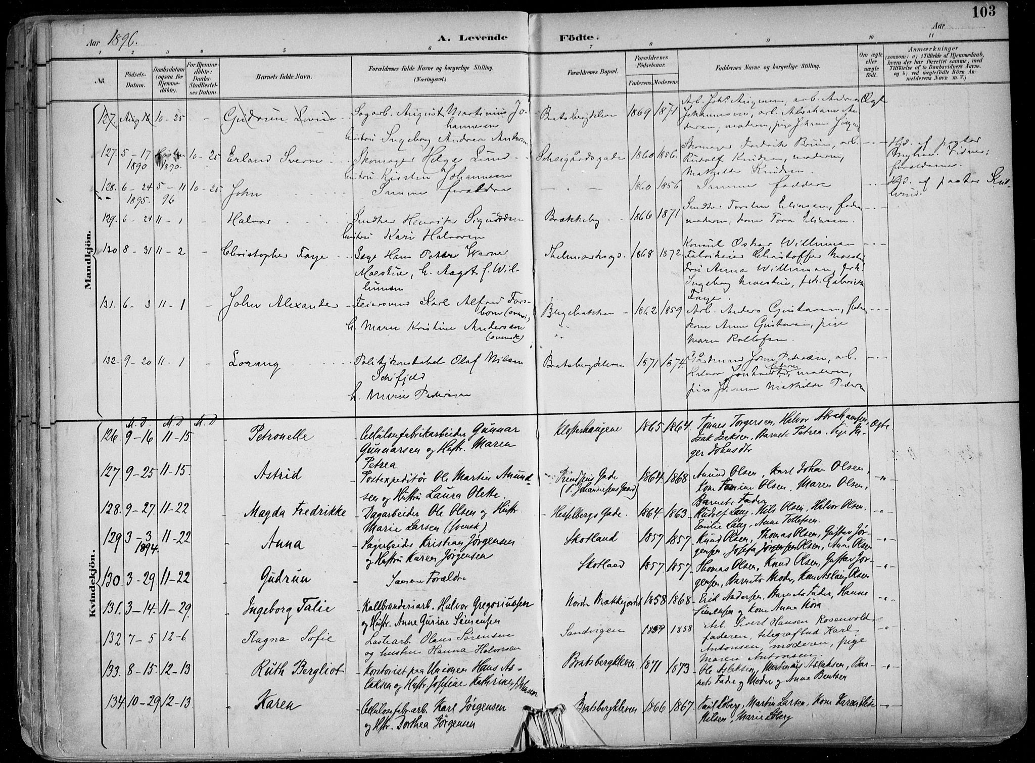 Skien kirkebøker, AV/SAKO-A-302/F/Fa/L0010: Parish register (official) no. 10, 1891-1899, p. 103