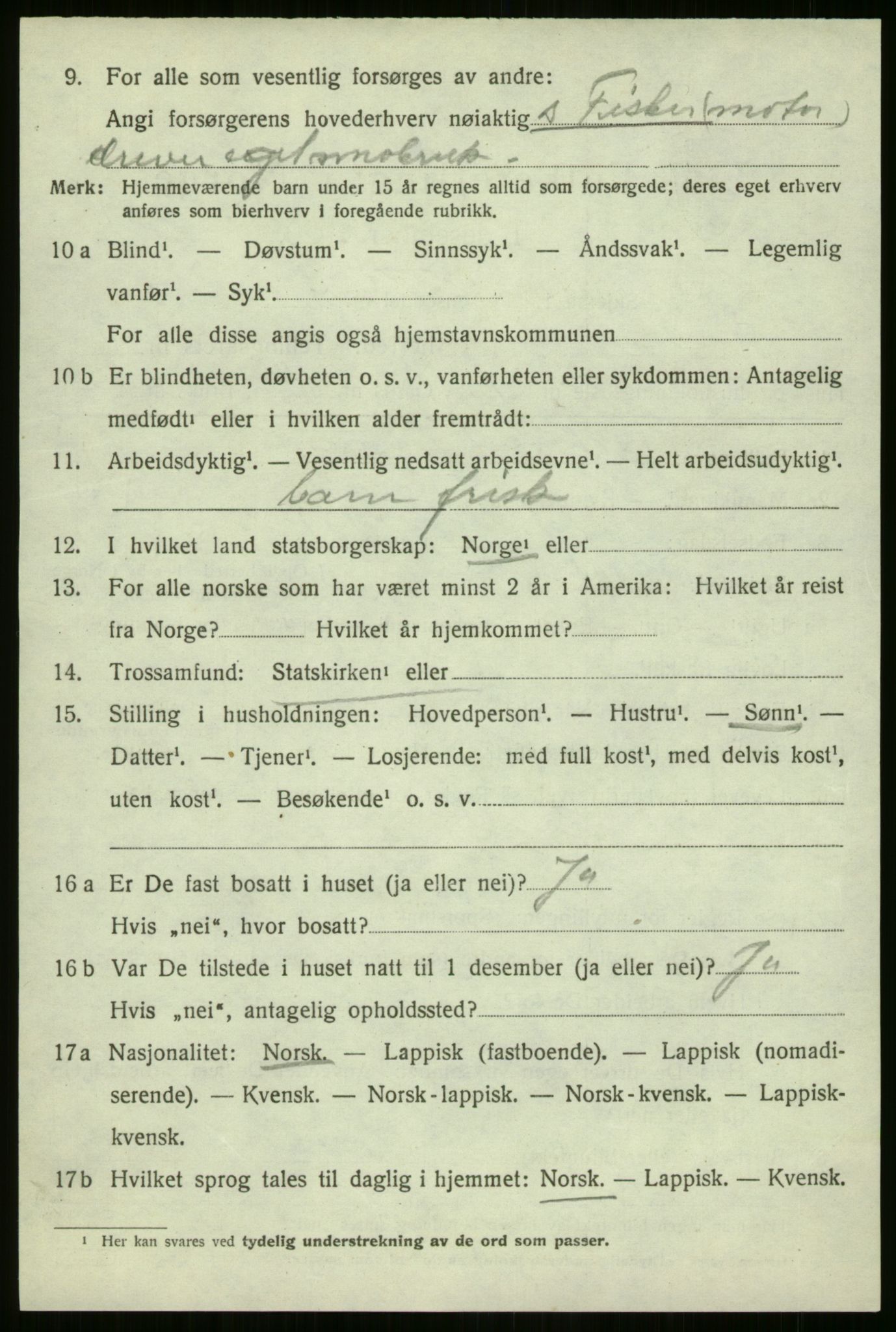 SATØ, 1920 census for Nordreisa, 1920, p. 1252