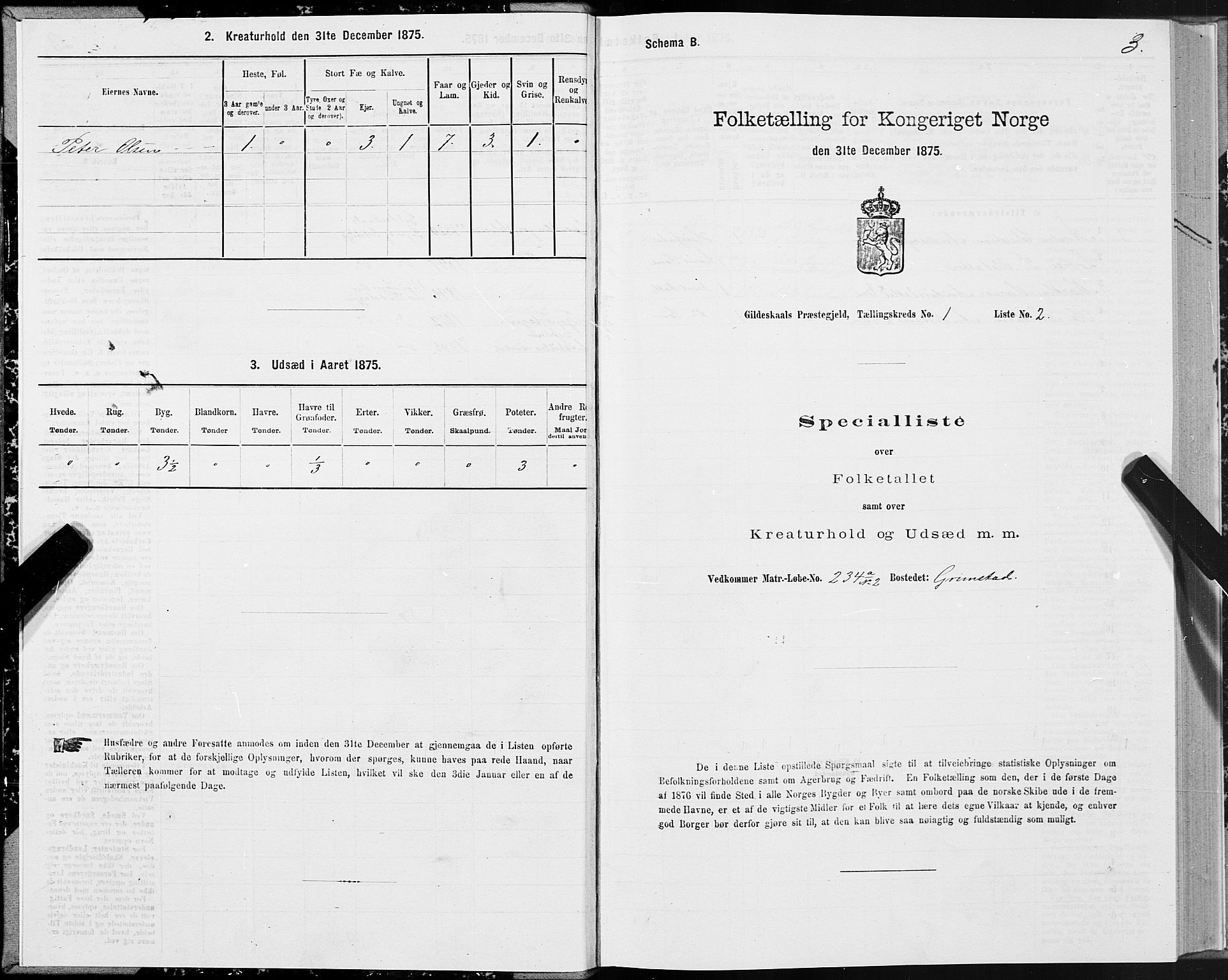 SAT, 1875 census for 1838P Gildeskål, 1875, p. 1003