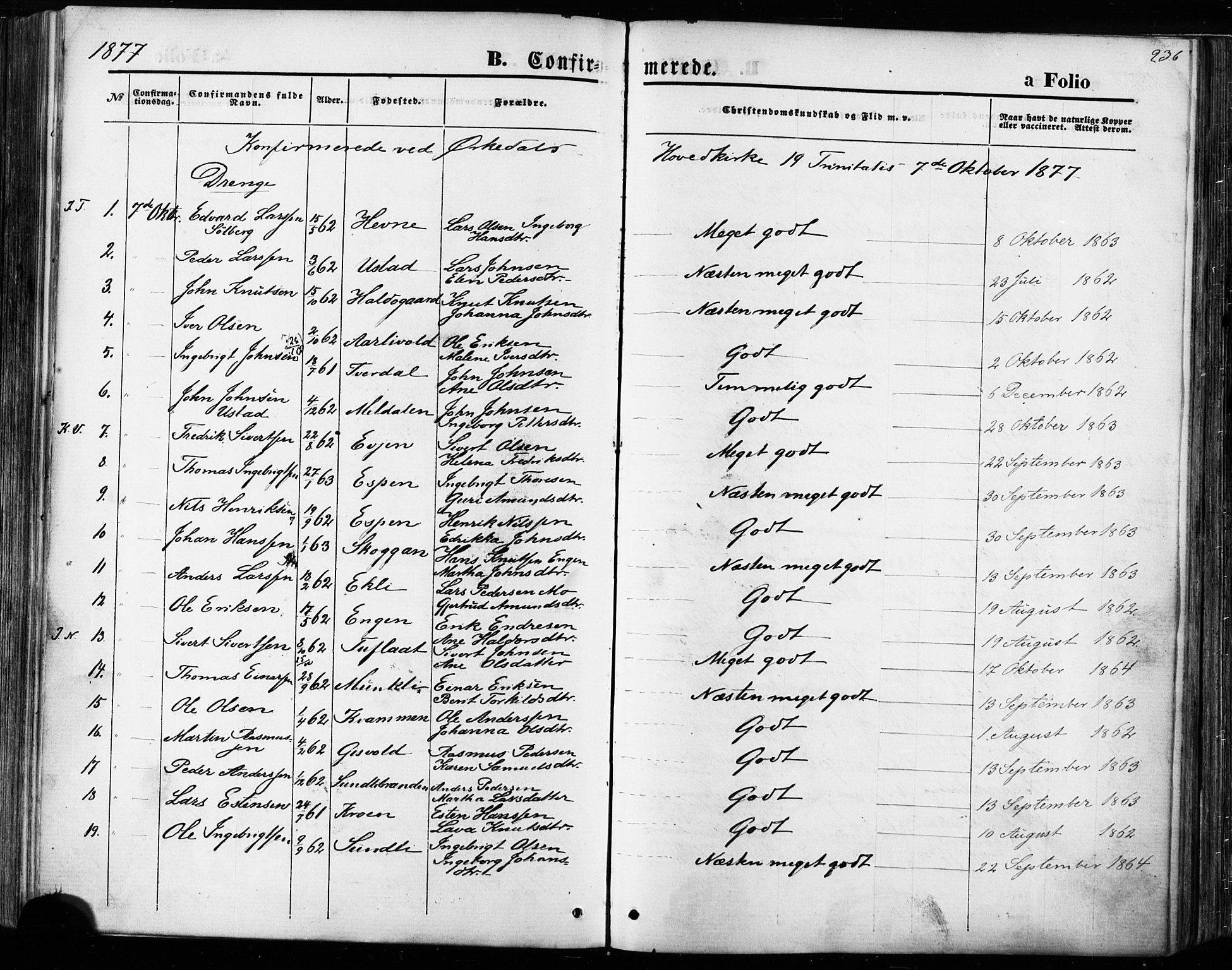 Ministerialprotokoller, klokkerbøker og fødselsregistre - Sør-Trøndelag, AV/SAT-A-1456/668/L0807: Parish register (official) no. 668A07, 1870-1880, p. 236