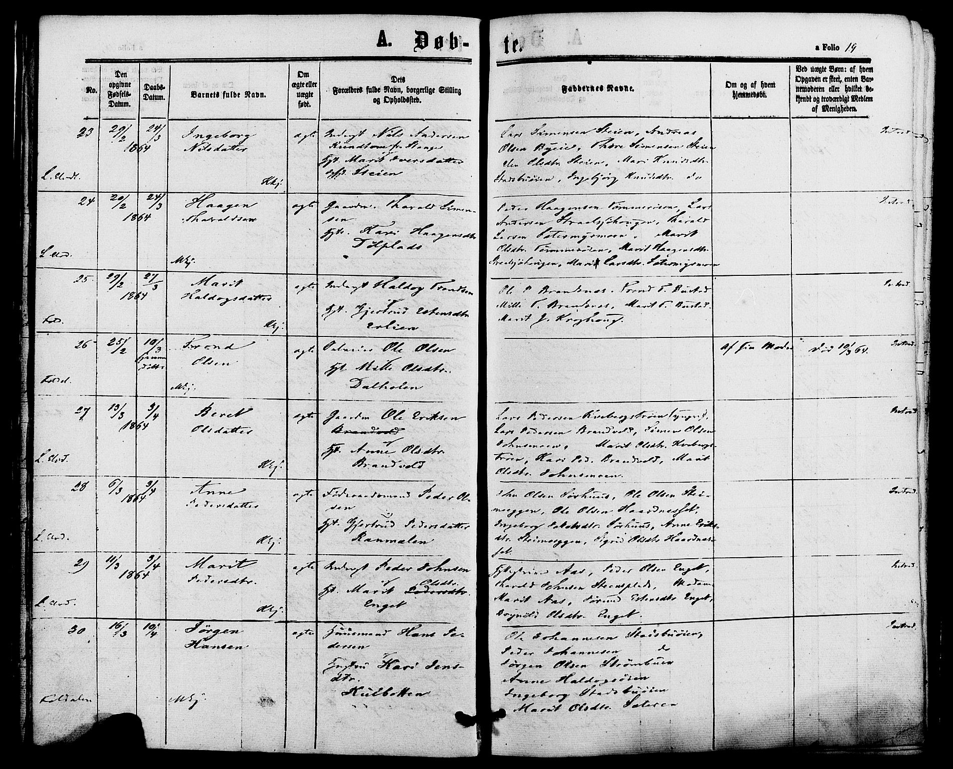 Alvdal prestekontor, SAH/PREST-060/H/Ha/Haa/L0001: Parish register (official) no. 1, 1863-1882, p. 19