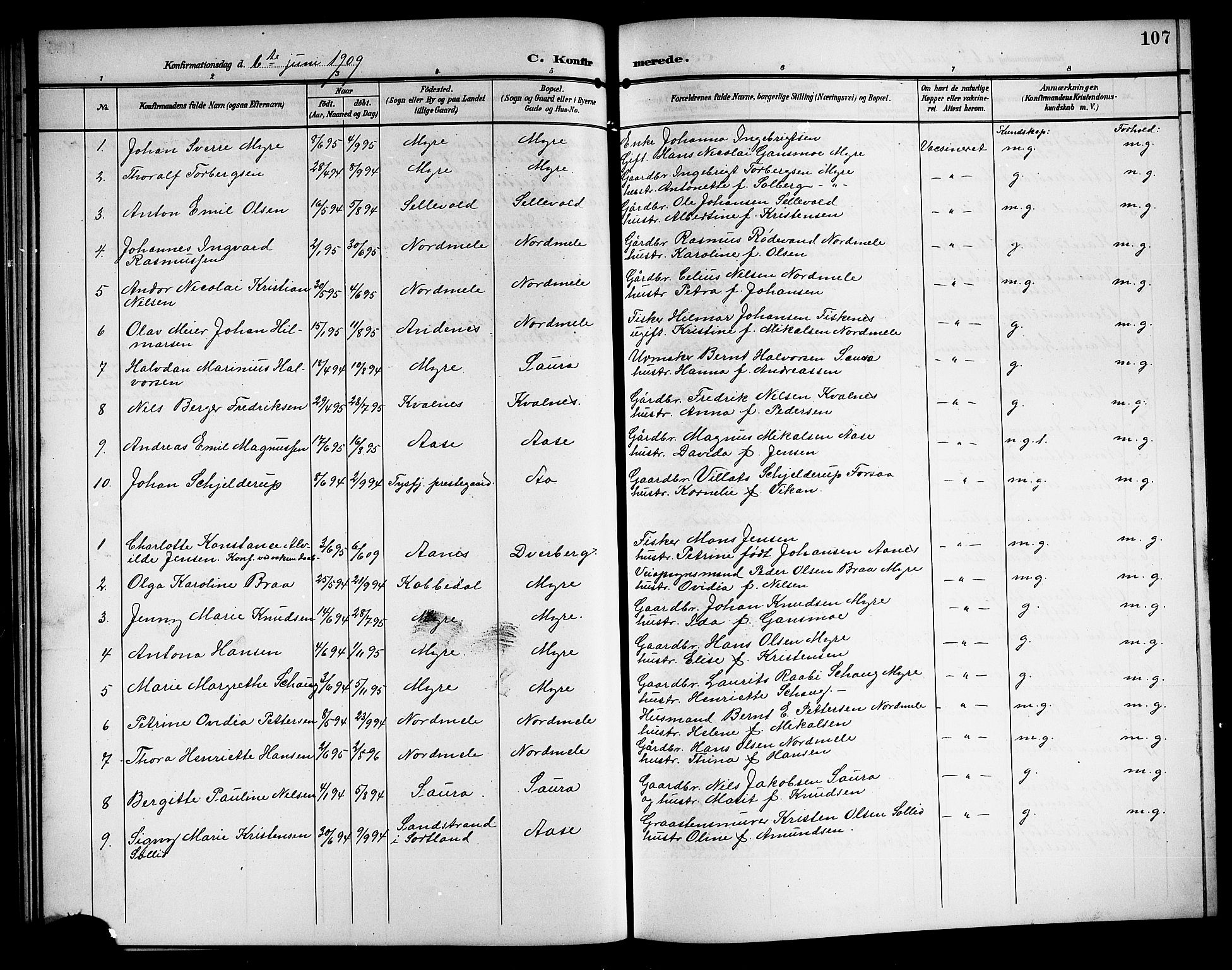 Ministerialprotokoller, klokkerbøker og fødselsregistre - Nordland, AV/SAT-A-1459/897/L1414: Parish register (copy) no. 897C04, 1904-1915, p. 107