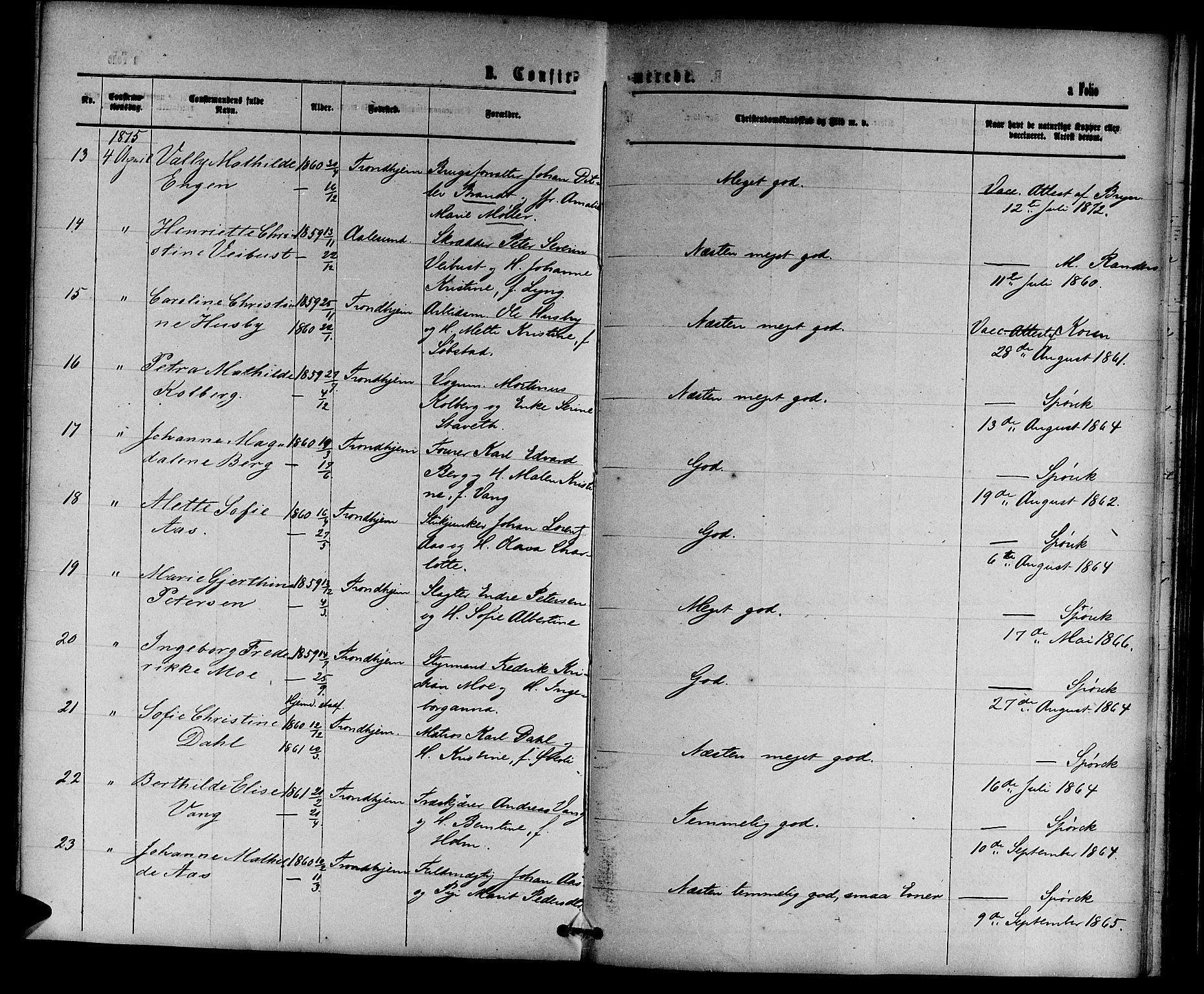 Ministerialprotokoller, klokkerbøker og fødselsregistre - Sør-Trøndelag, AV/SAT-A-1456/601/L0087: Parish register (copy) no. 601C05, 1864-1881, p. 209g