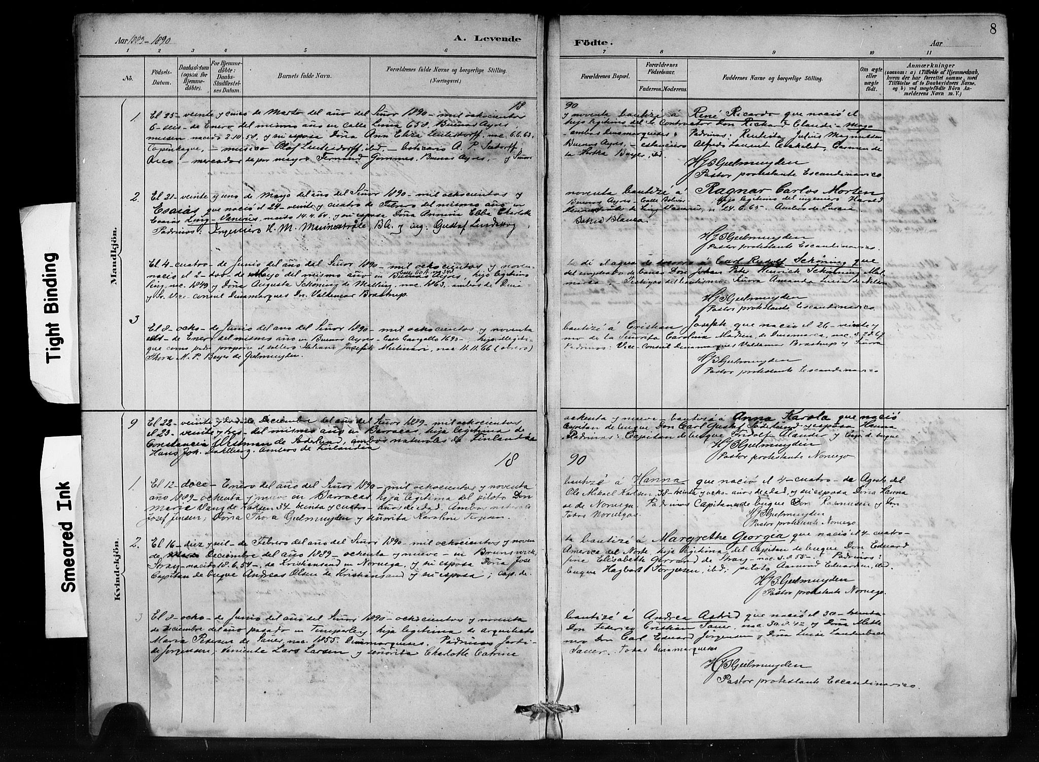 Den norske sjømannsmisjon i utlandet/Syd-Amerika (Buenos Aires m.fl.), SAB/SAB/PA-0118/H/Ha/L0001: Parish register (official) no. A 1, 1888-1898, p. 8
