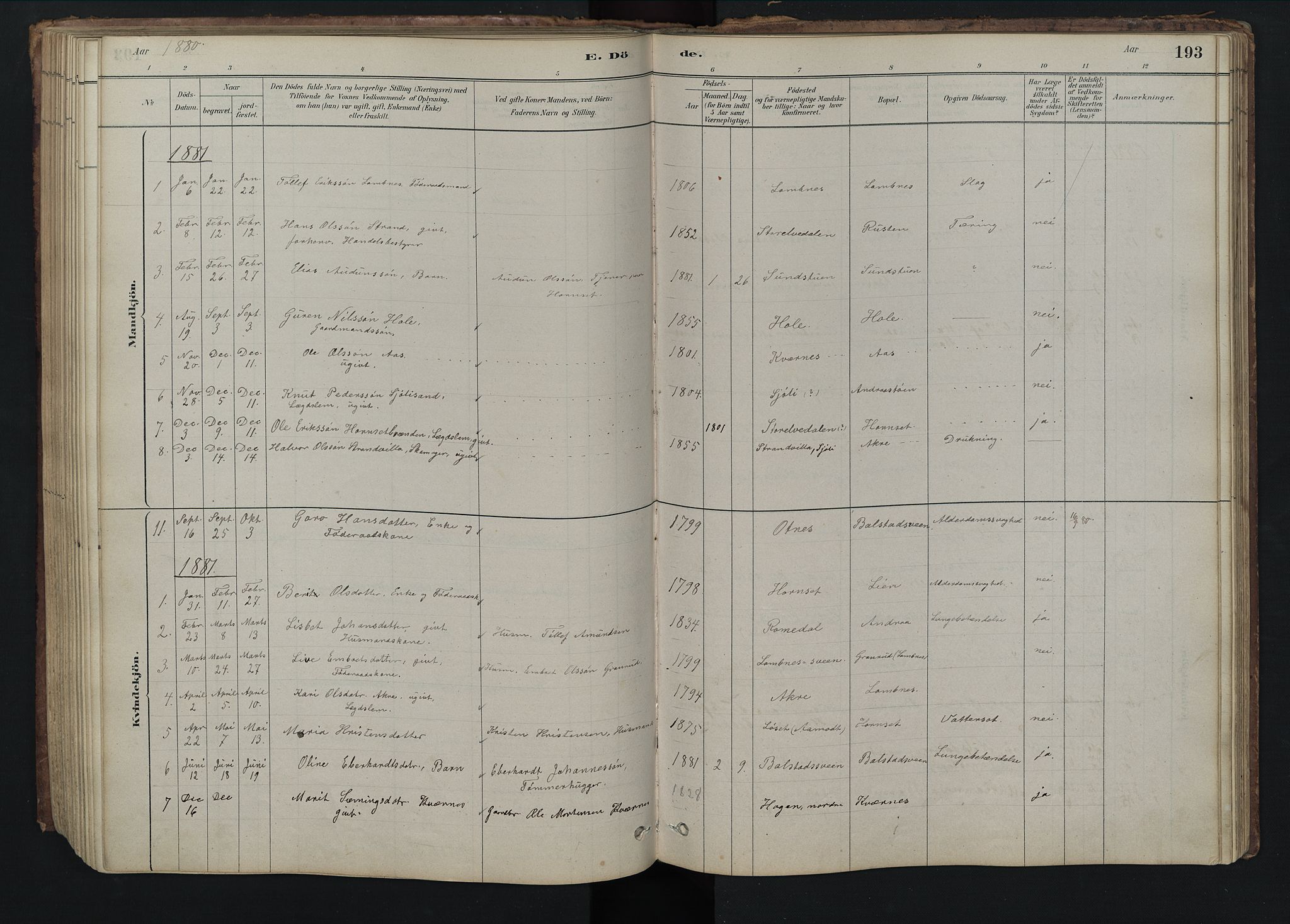 Rendalen prestekontor, SAH/PREST-054/H/Ha/Hab/L0009: Parish register (copy) no. 9, 1879-1902, p. 193