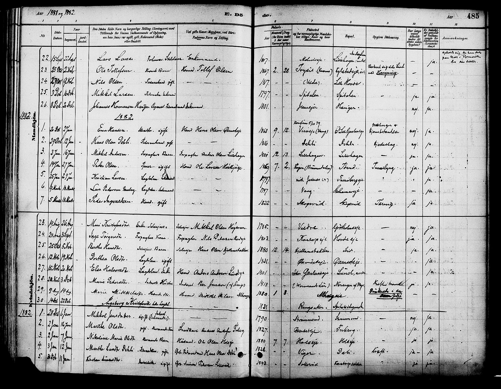 Vang prestekontor, Hedmark, AV/SAH-PREST-008/H/Ha/Haa/L0018B: Parish register (official) no. 18B, 1880-1906, p. 485