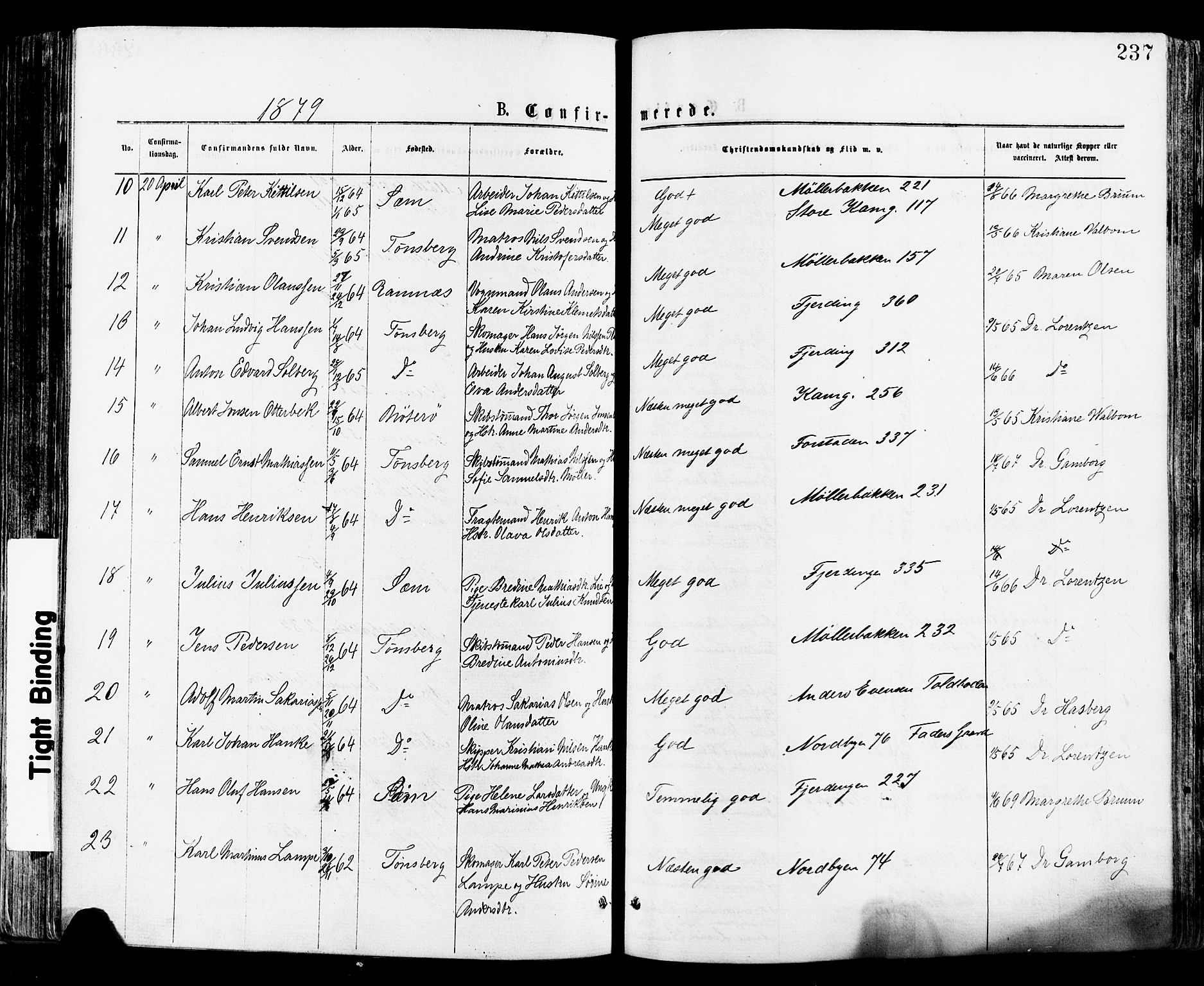 Tønsberg kirkebøker, AV/SAKO-A-330/F/Fa/L0010: Parish register (official) no. I 10, 1874-1880, p. 237