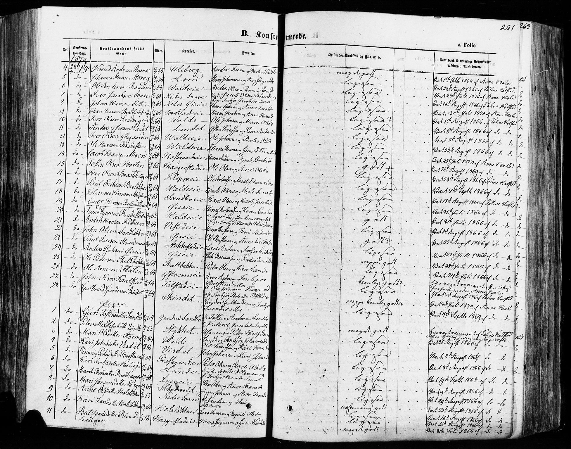 Vågå prestekontor, SAH/PREST-076/H/Ha/Haa/L0007: Parish register (official) no. 7 /1, 1872-1886, p. 261