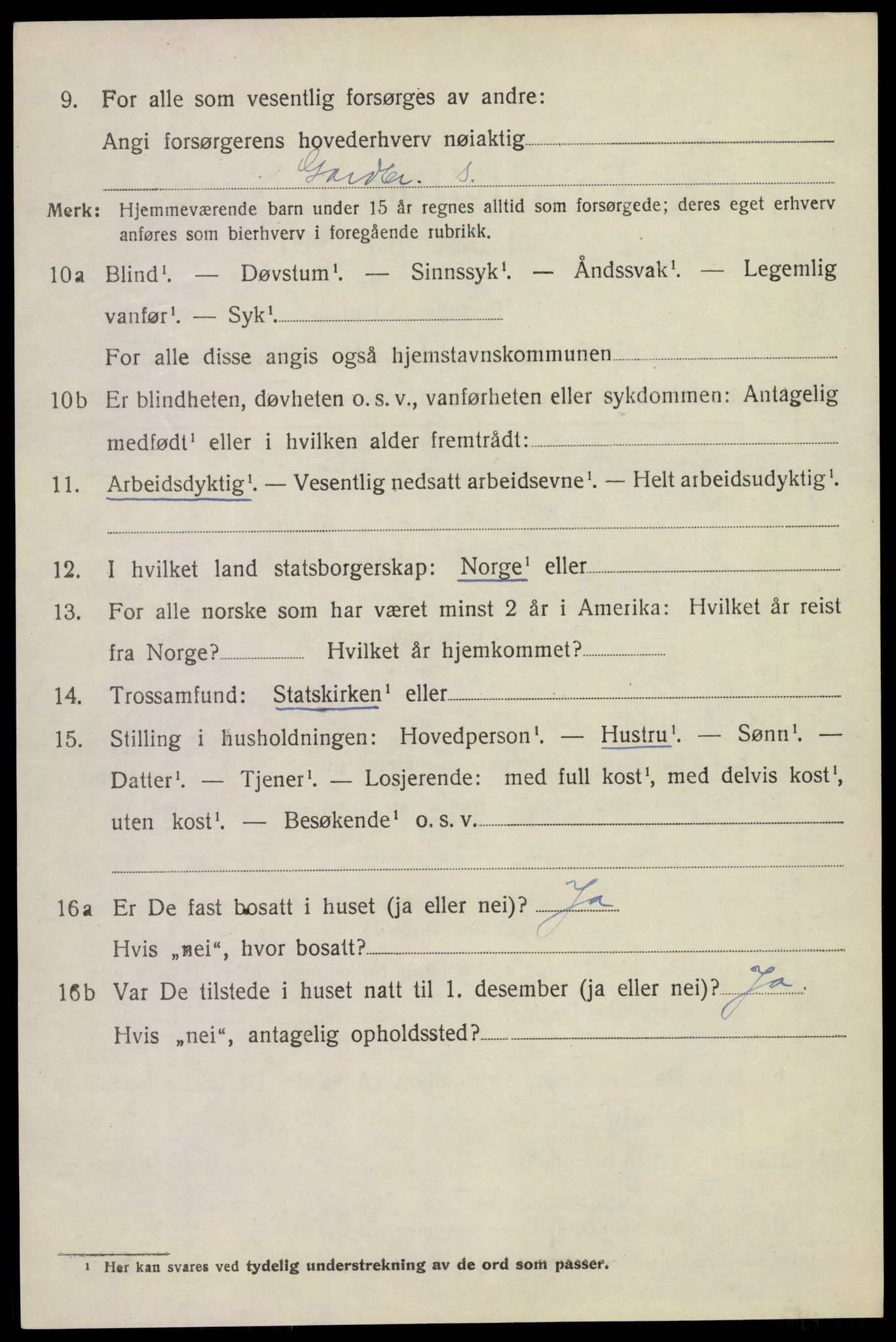 SAKO, 1920 census for Tinn, 1920, p. 4333