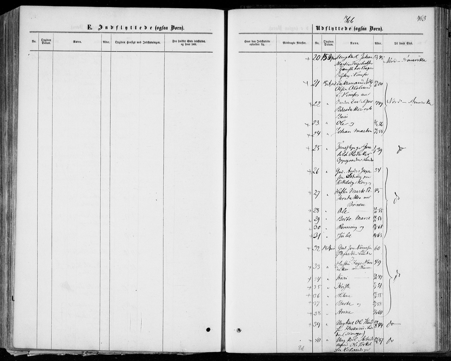 Norderhov kirkebøker, SAKO/A-237/F/Fa/L0013: Parish register (official) no. 13, 1866-1874, p. 463