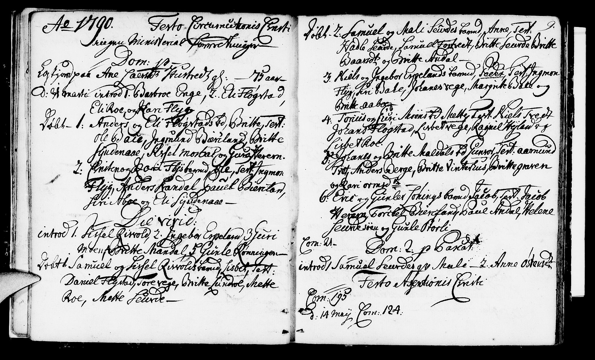 Suldal sokneprestkontor, SAST/A-101845/01/IV/L0002: Parish register (official) no. A 2, 1780-1808, p. 9