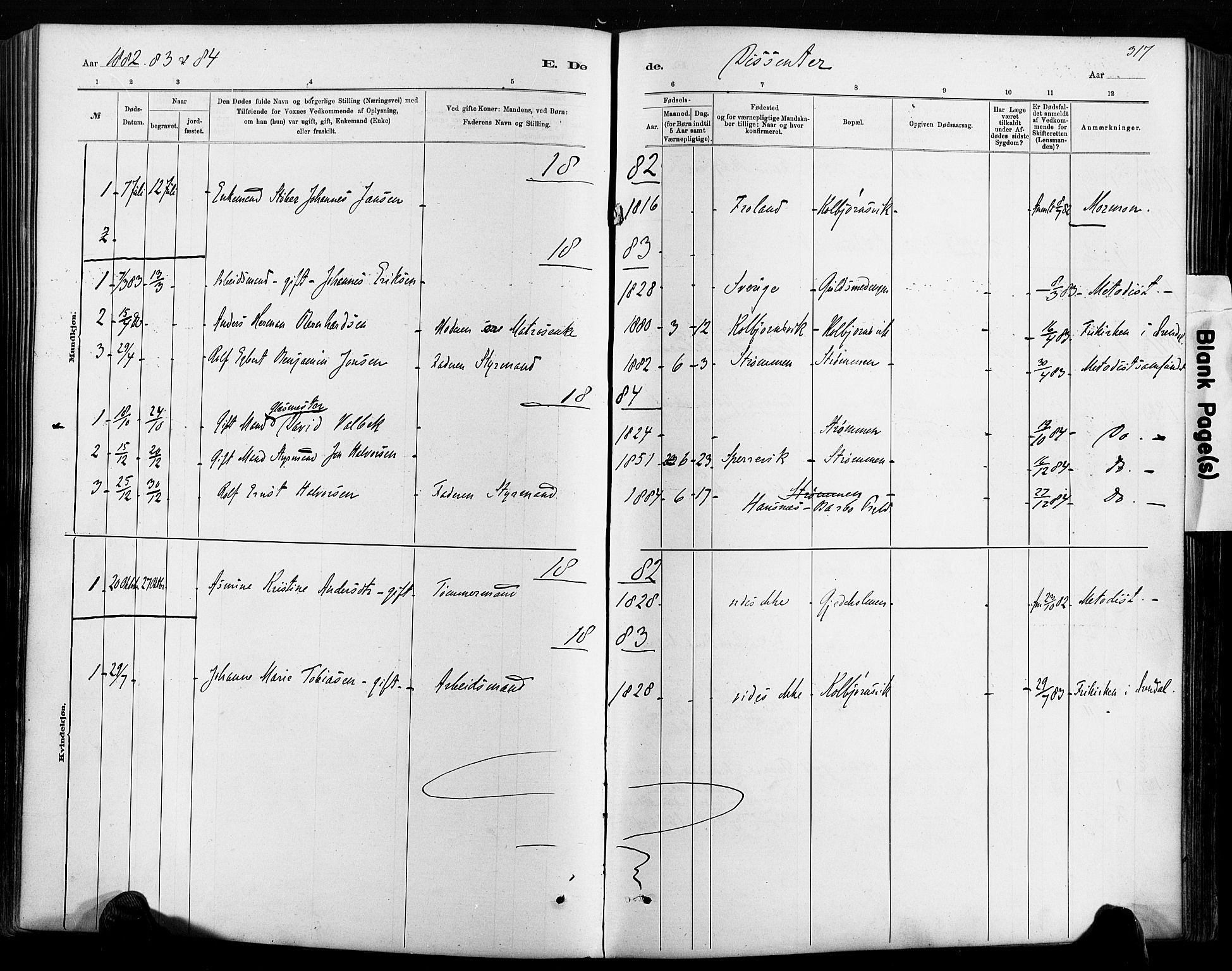 Hisøy sokneprestkontor, SAK/1111-0020/F/Fa/L0003: Parish register (official) no. A 3, 1881-1894, p. 317
