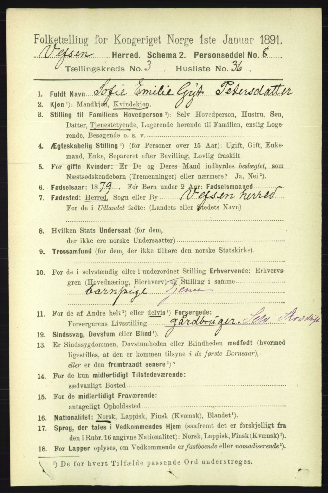 RA, 1891 census for 1824 Vefsn, 1891, p. 1534