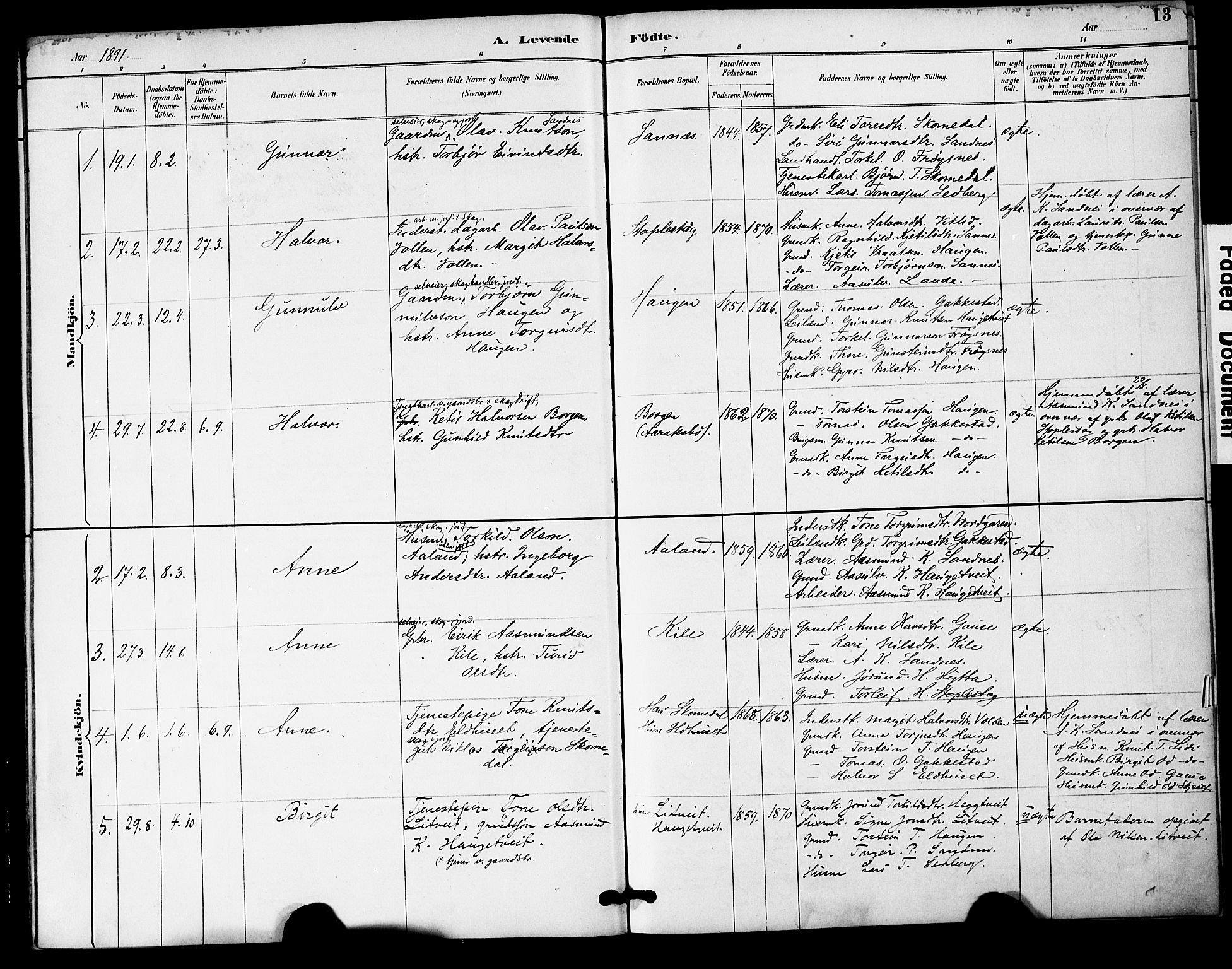 Bygland sokneprestkontor, SAK/1111-0006/F/Fa/Fac/L0001: Parish register (official) no. A 1, 1885-1909, p. 13