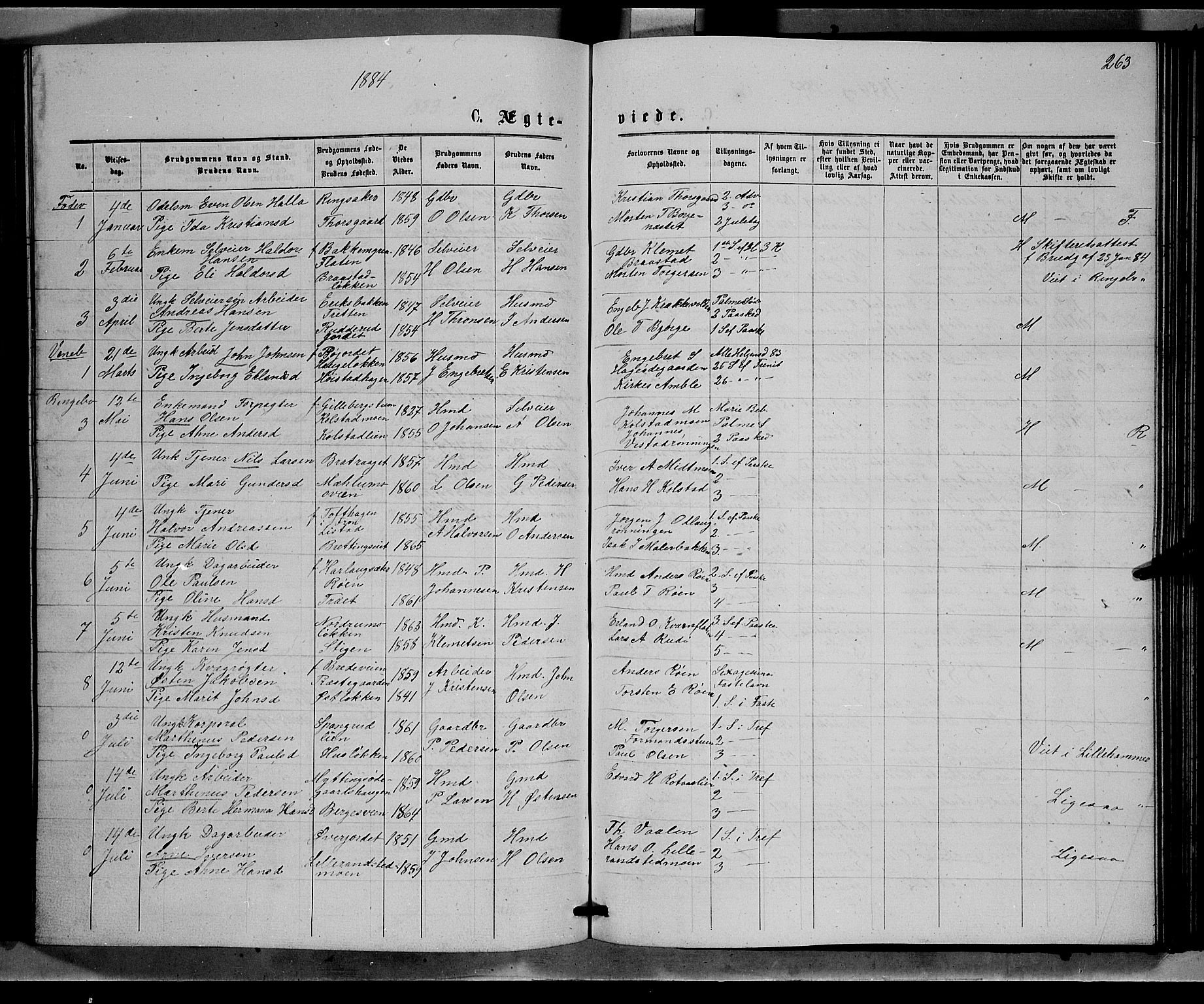 Ringebu prestekontor, SAH/PREST-082/H/Ha/Hab/L0006: Parish register (copy) no. 6, 1880-1898, p. 263