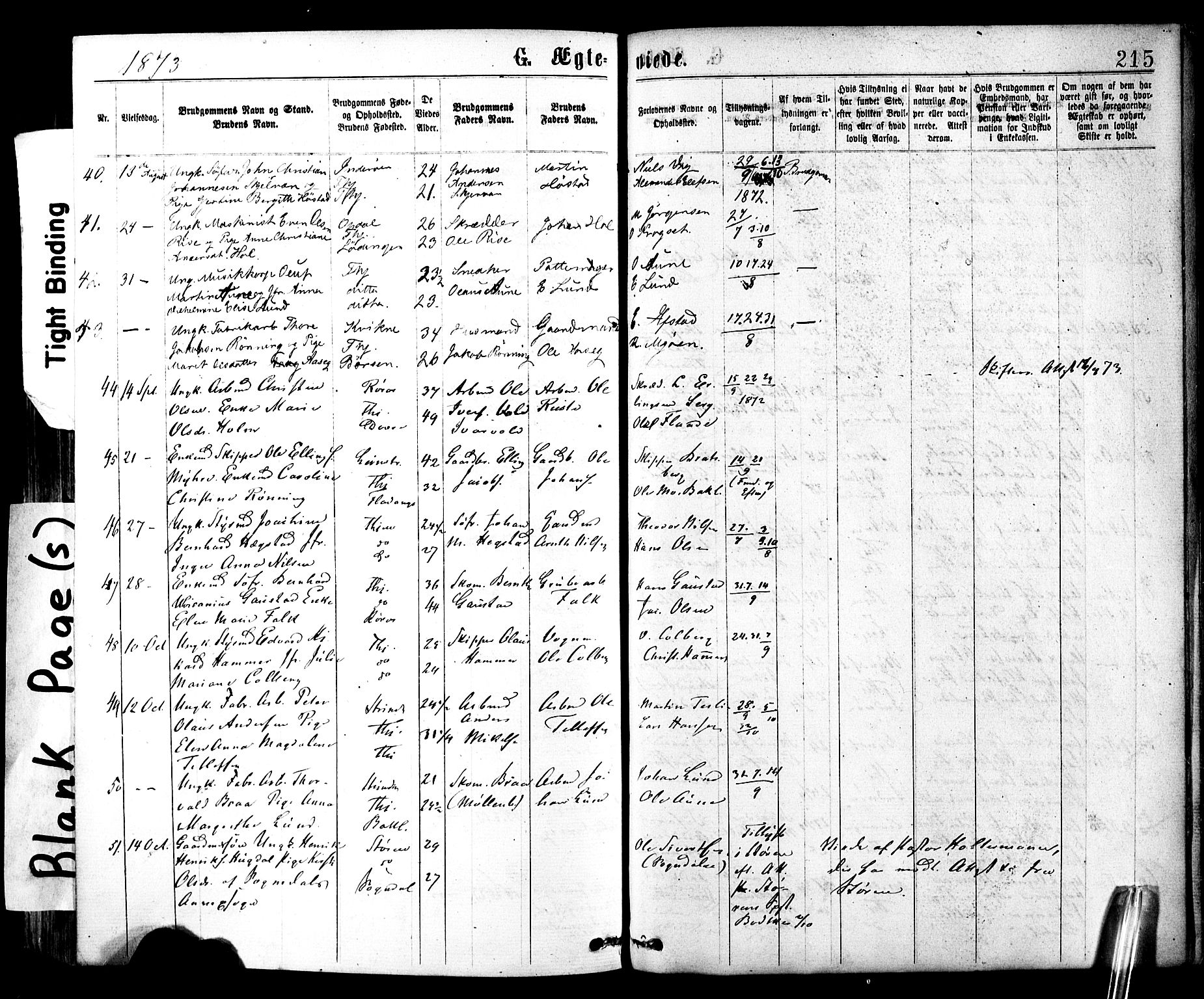Ministerialprotokoller, klokkerbøker og fødselsregistre - Sør-Trøndelag, SAT/A-1456/602/L0118: Parish register (official) no. 602A16, 1873-1879, p. 215