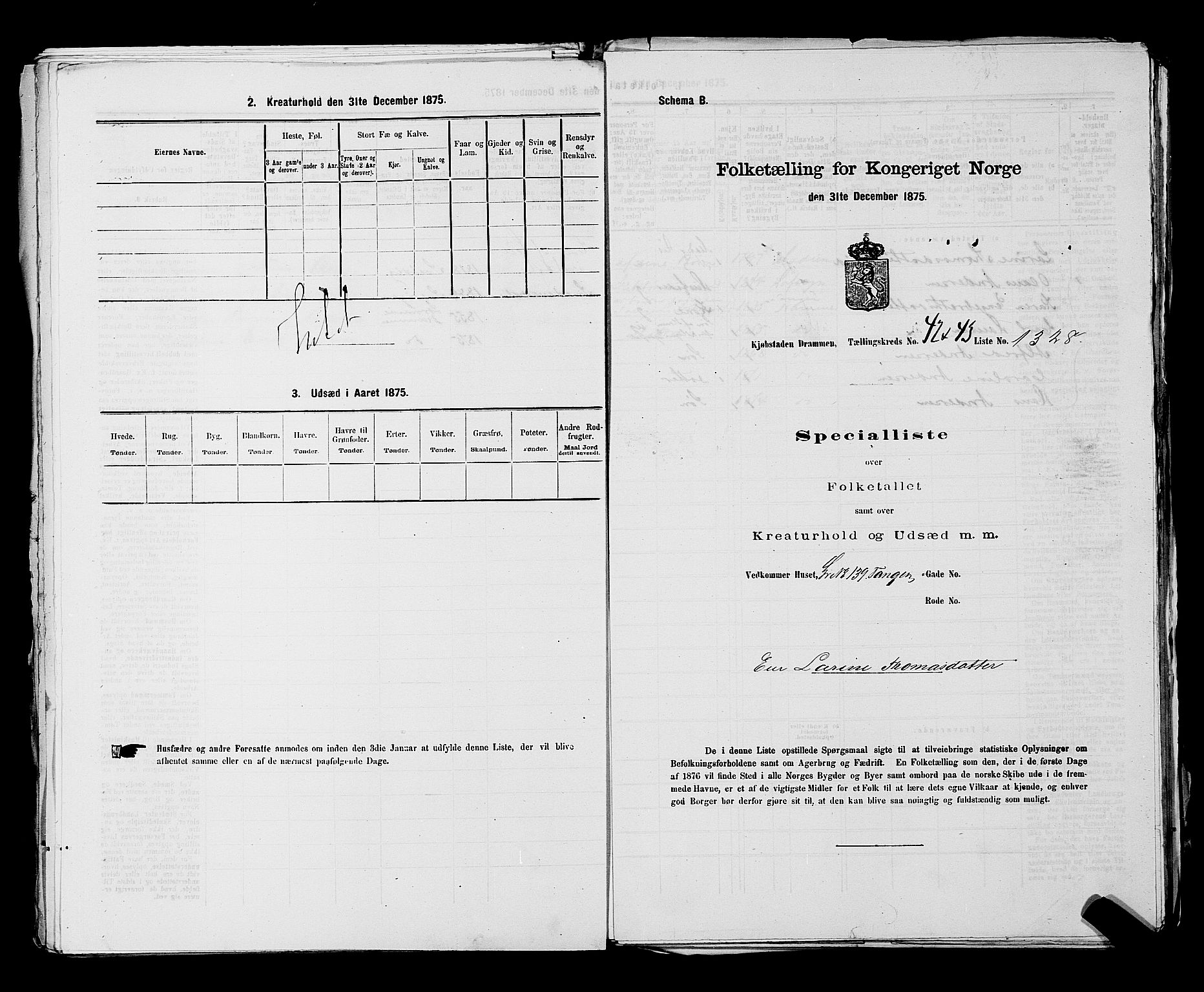 SAKO, 1875 census for 0602 Drammen, 1875, p. 3602