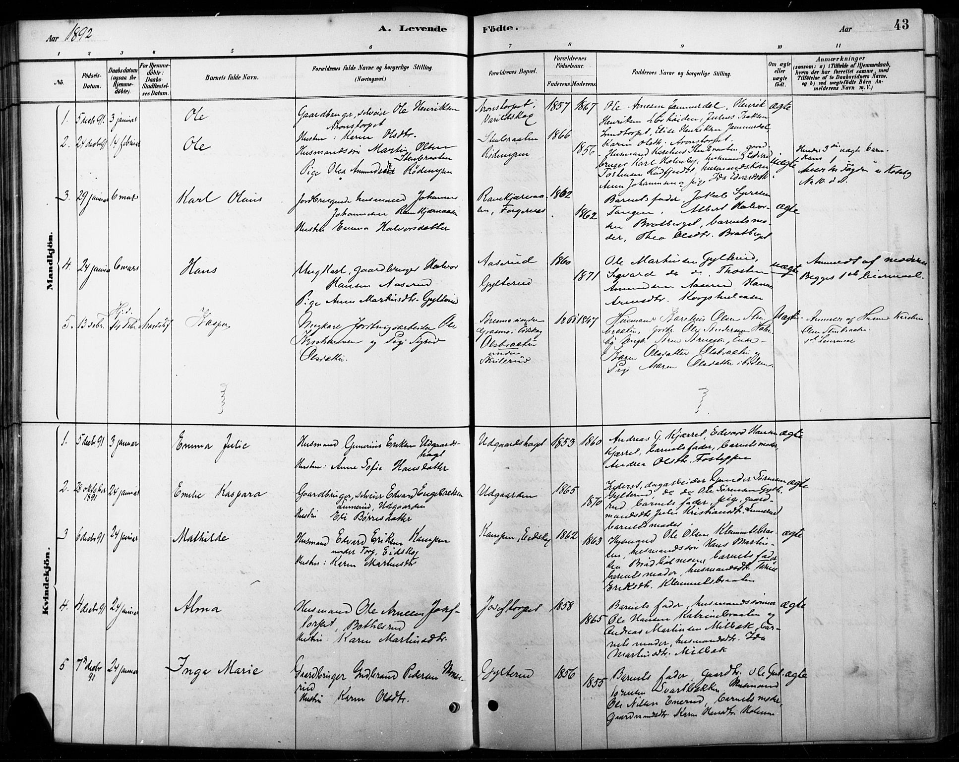 Vinger prestekontor, AV/SAH-PREST-024/H/Ha/Haa/L0015: Parish register (official) no. 15, 1881-1900, p. 43