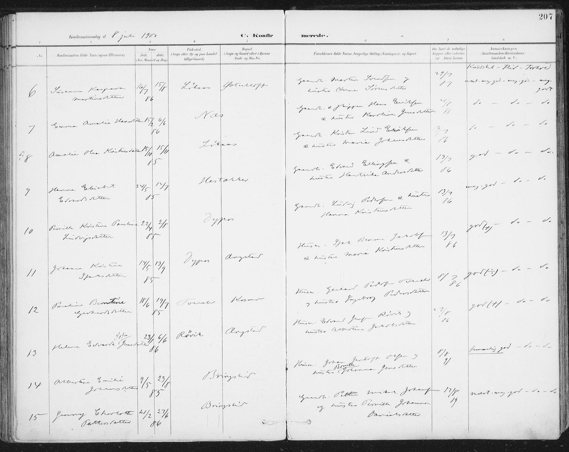 Ministerialprotokoller, klokkerbøker og fødselsregistre - Nordland, AV/SAT-A-1459/852/L0741: Parish register (official) no. 852A11, 1894-1917, p. 207