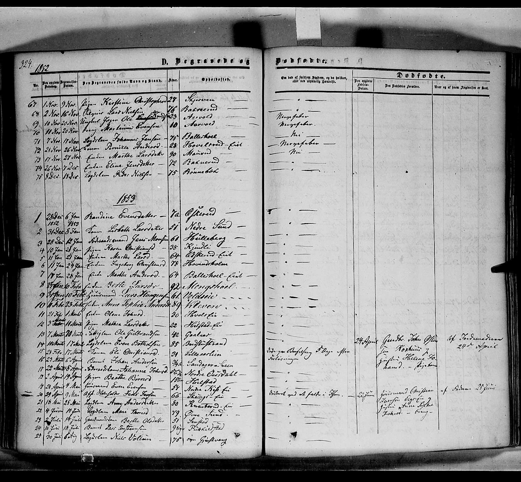 Nes prestekontor, Hedmark, SAH/PREST-020/K/Ka/L0004: Parish register (official) no. 4, 1852-1886, p. 324